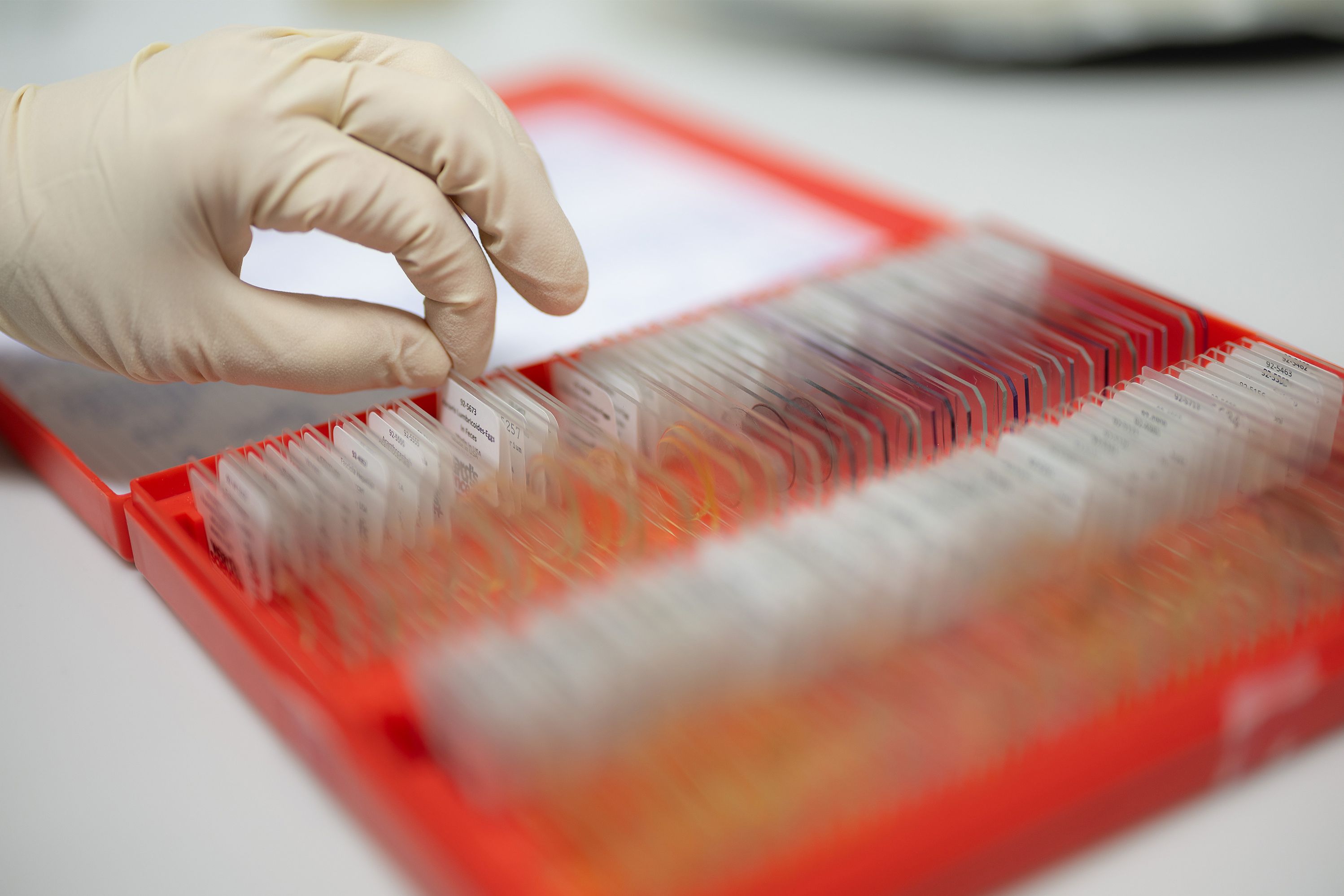 ÖAW/DanielHinterramskogler