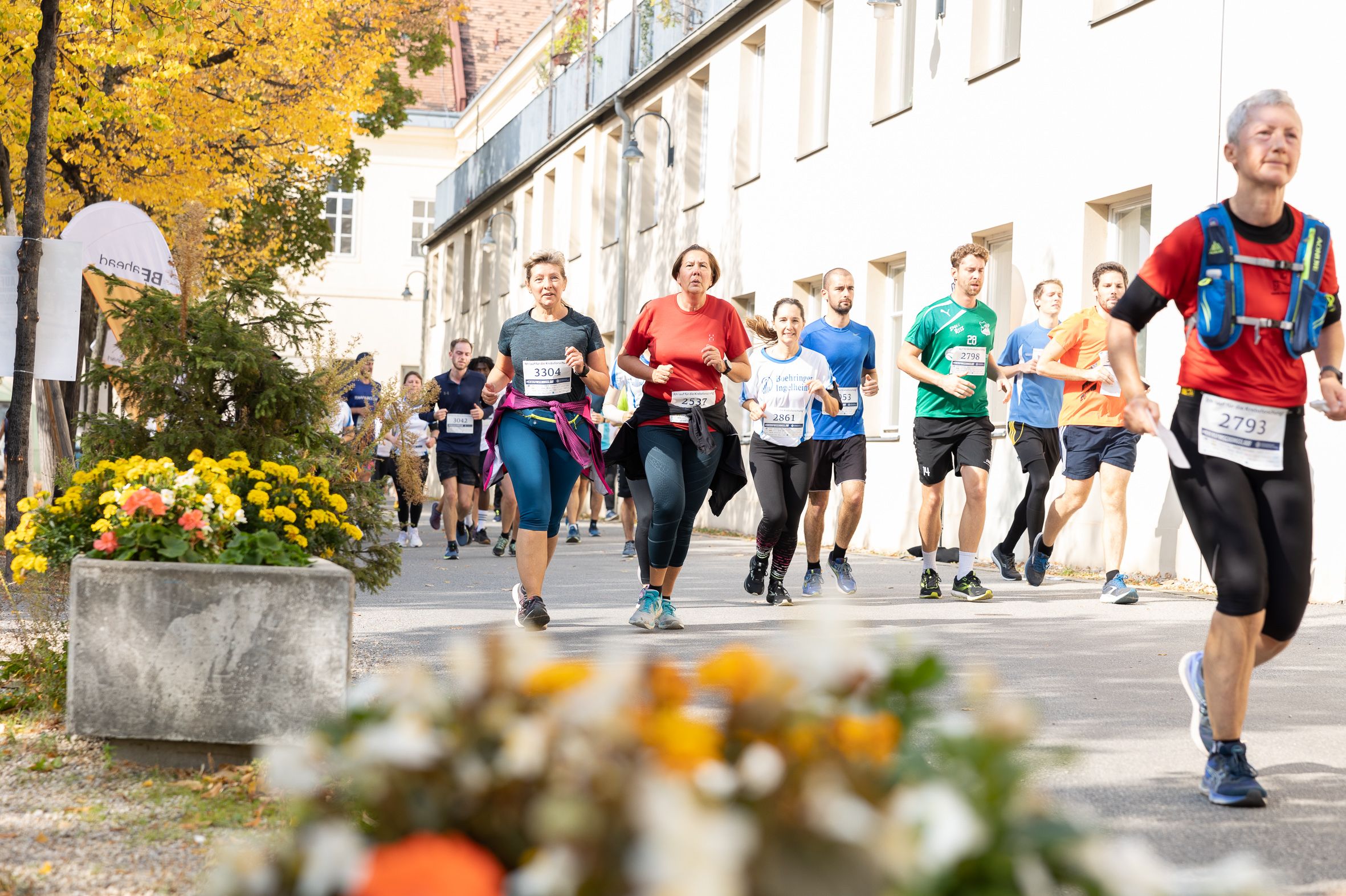 Bild: MedUni Wien/Kawka