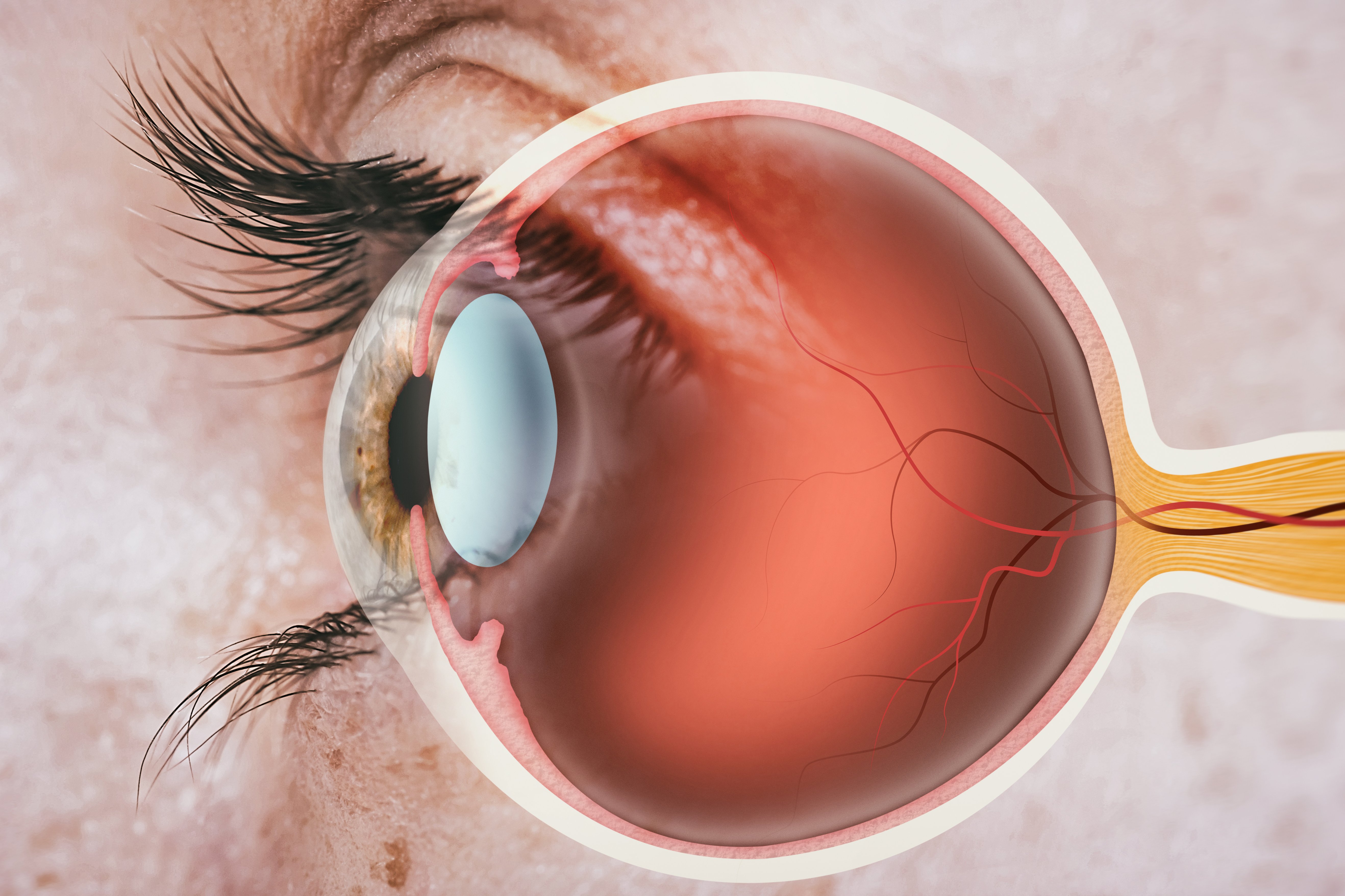 (c) 2021 SvetaZi/Shutterstock (c) 2021 SvetaZi/Shutterstock