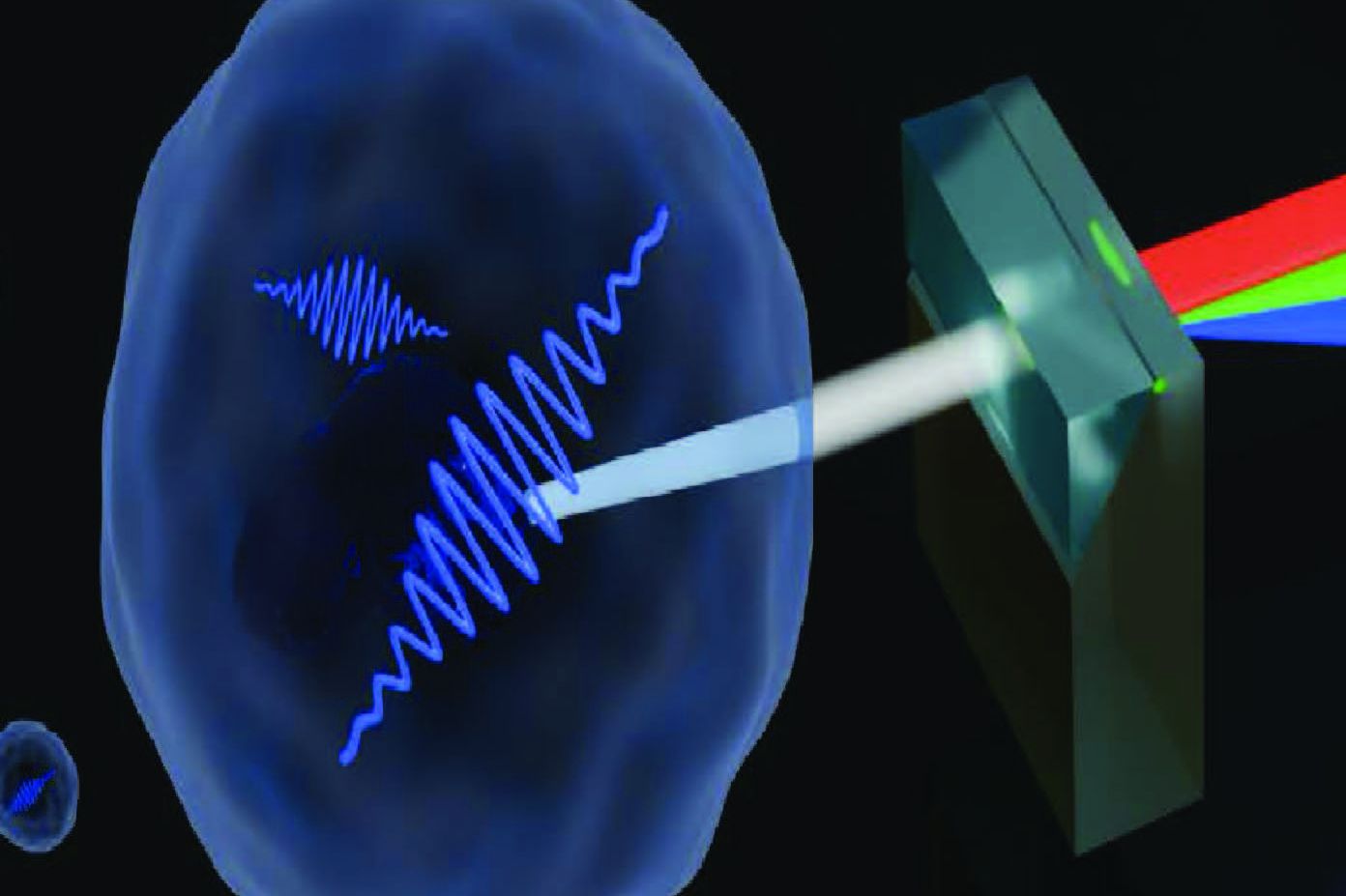 (c) Adapted from original illustration by Sal La Cavera III