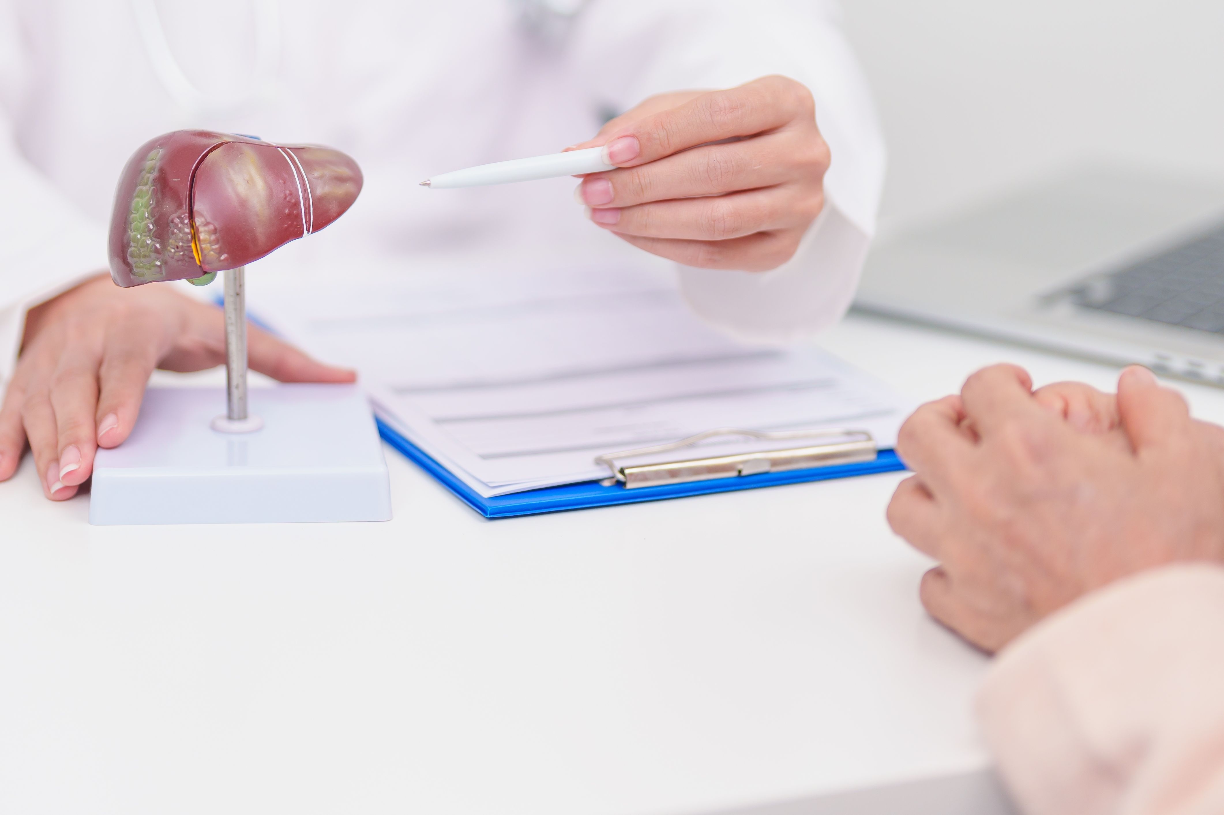 Copyright (c) 2025 Jo Panuwat D/Shutterstock