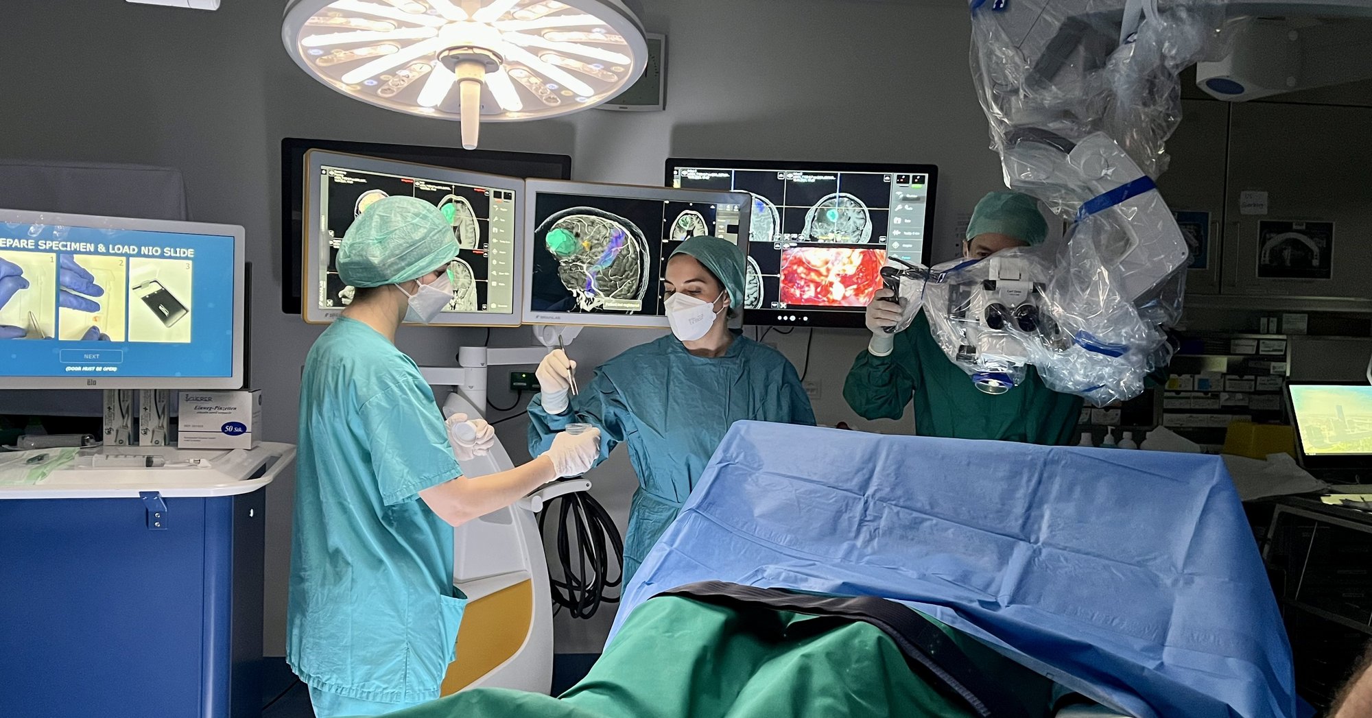 New AI technique enables rapid digital tissue analysis for brain