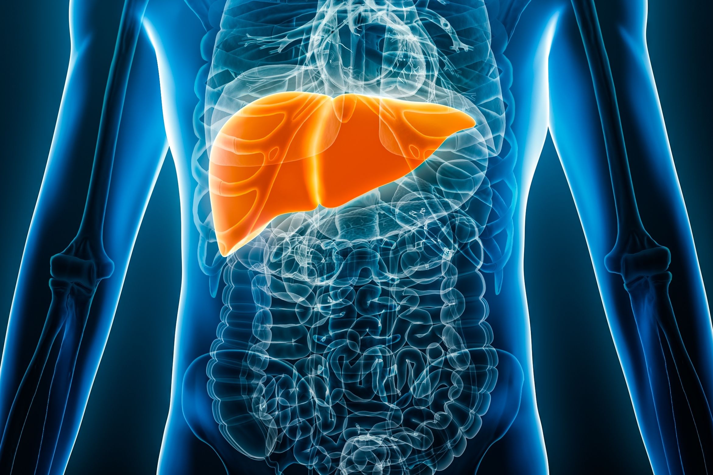 Copyright (c) 2023 MattL_Images/Shutterstock