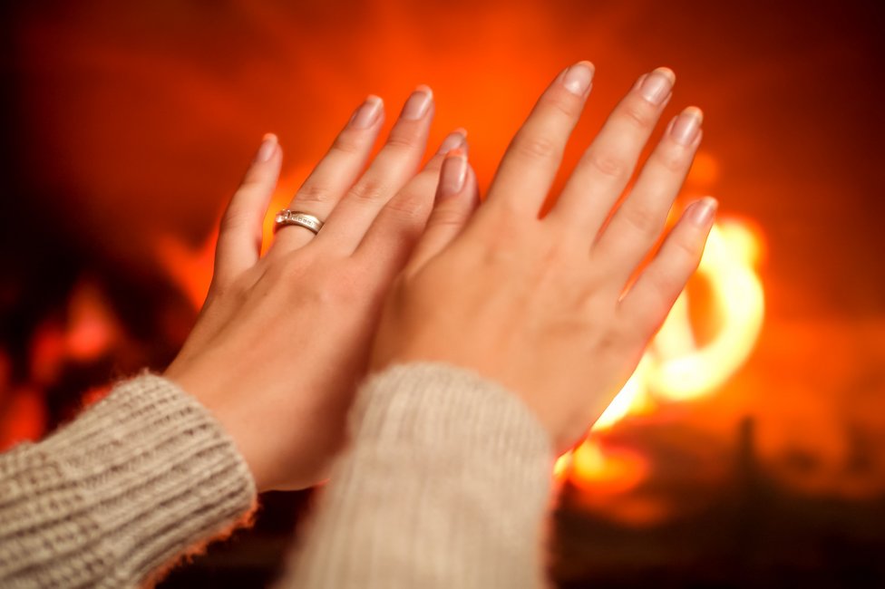 Copyright (c) 2019 kryzhov/Shutterstock Copyright (c) 2019 kryzhov/Shutterstock