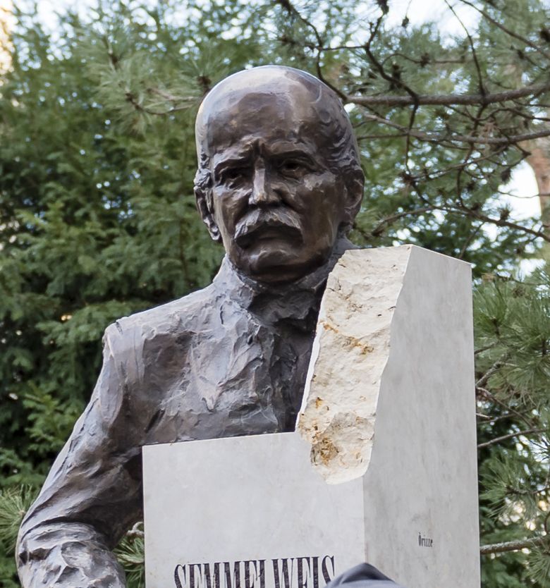 MedUni Wien/Zsolt Marton