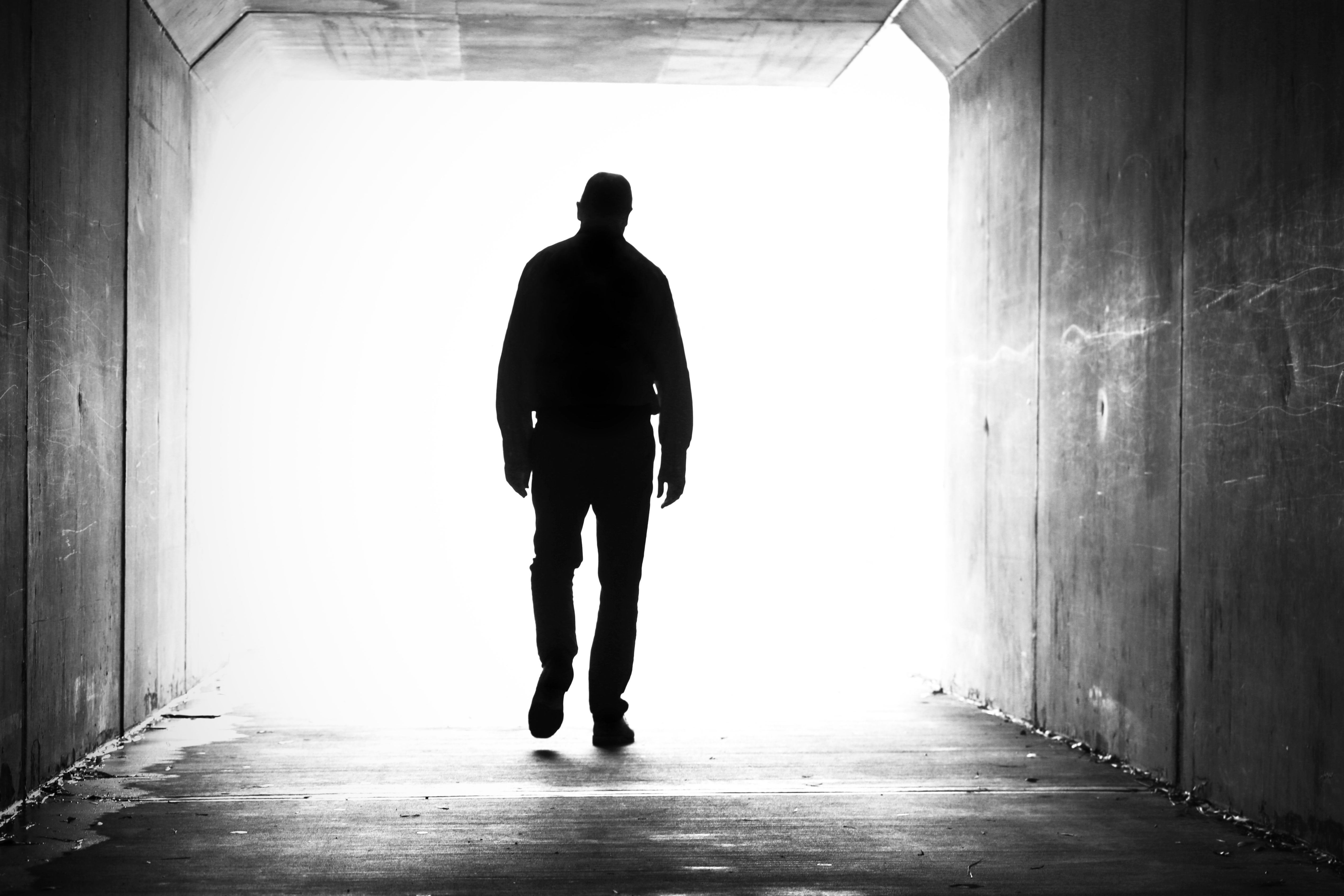 Copyright (c) 2020 LBeddoe/Shutterstock