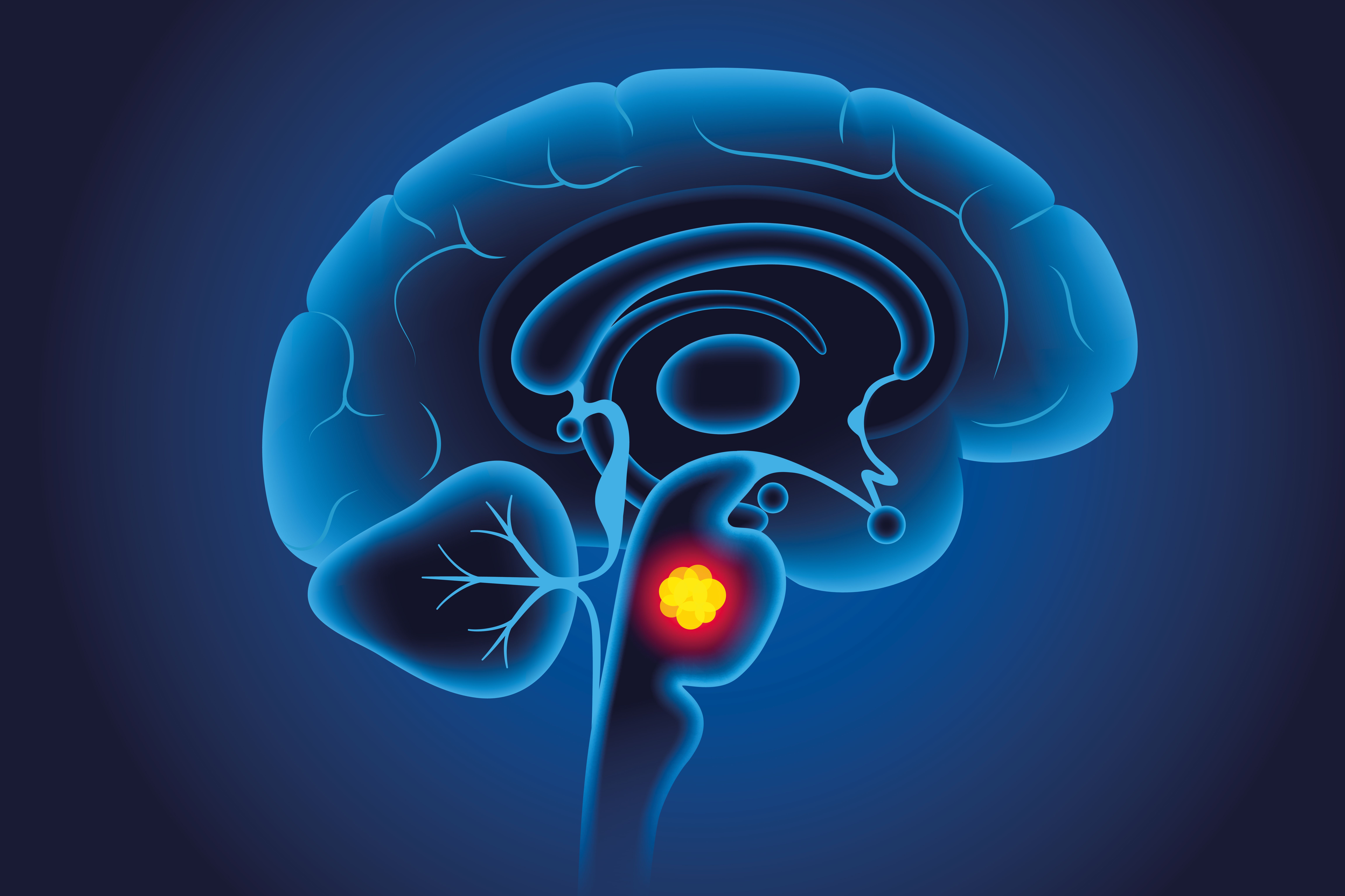 Copyright: Shutterstock