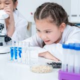 Copyright (c) 2024 shisu_ka/Shutterstock