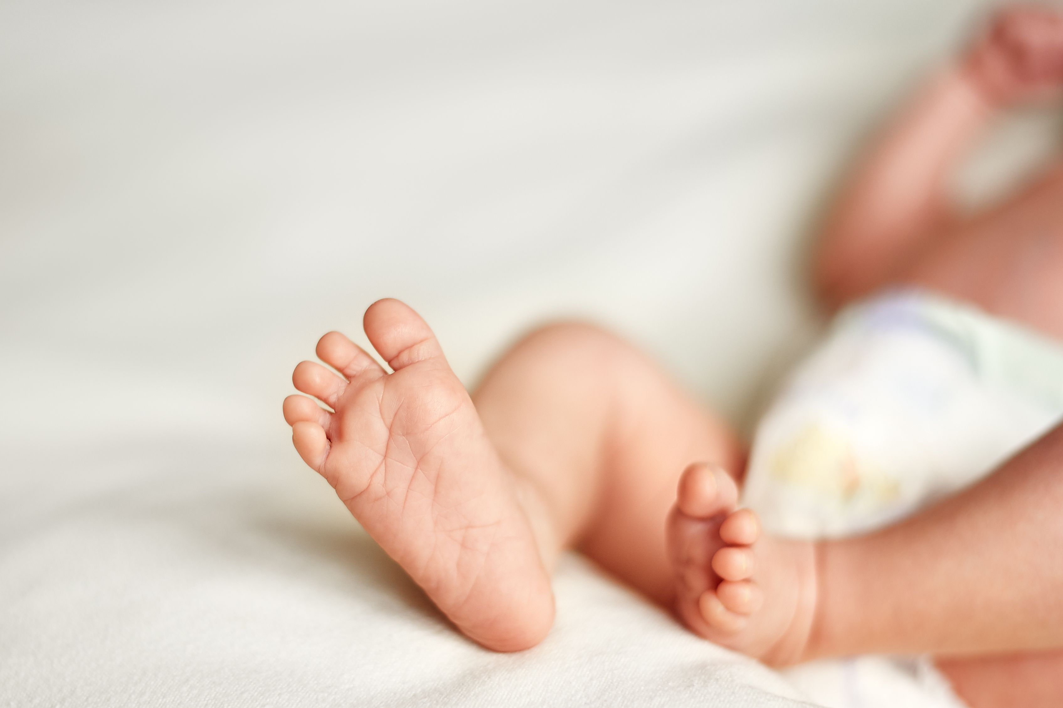 Copyright 2020 Denis_ZaiShutterstock Copyright 2020 Denis_ZaiShutterstock