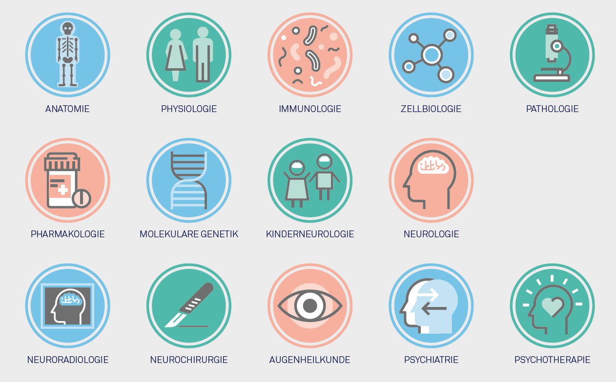 Research cluster medical neuroscience