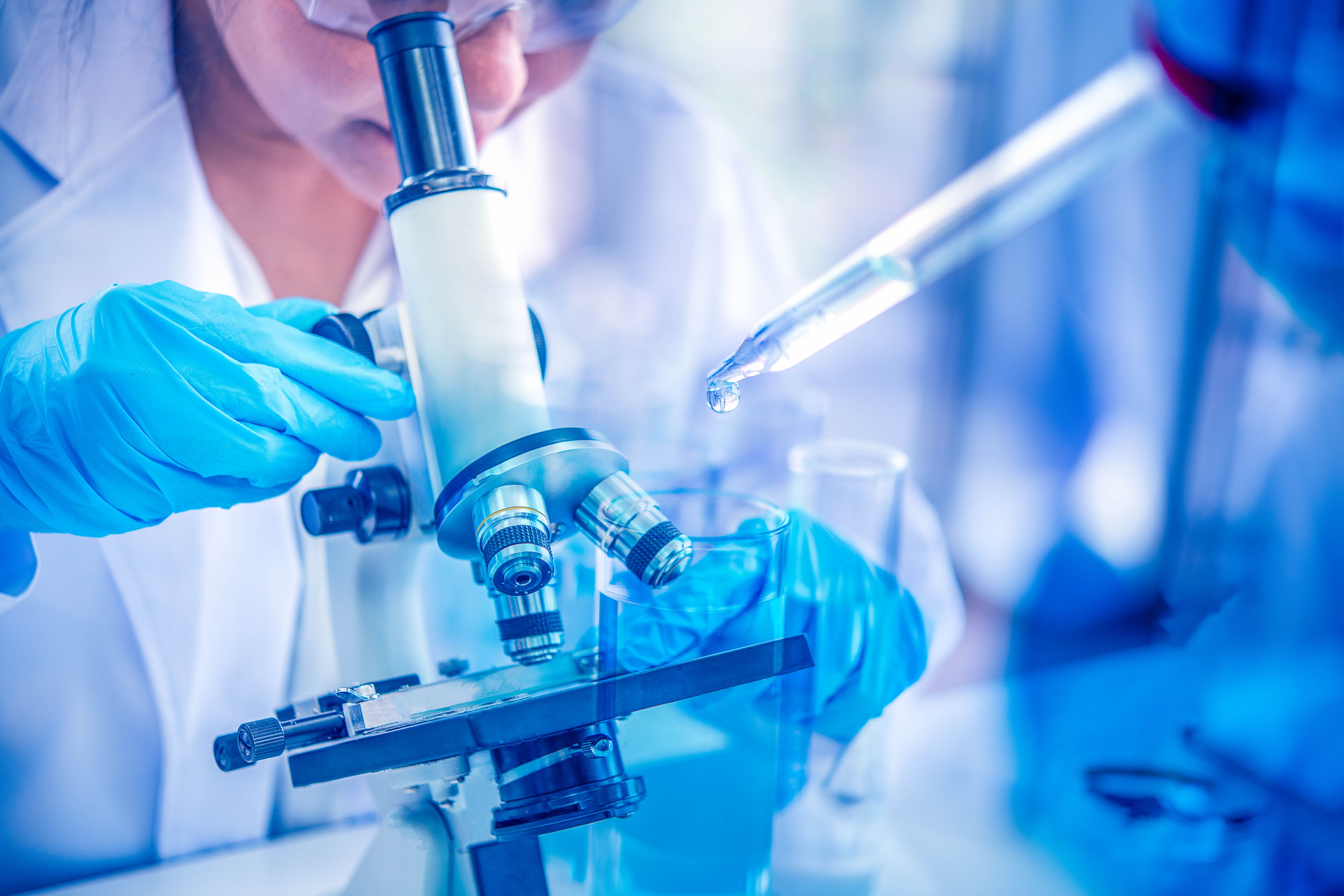 (c) 2019 Rachaphak/Shutterstock