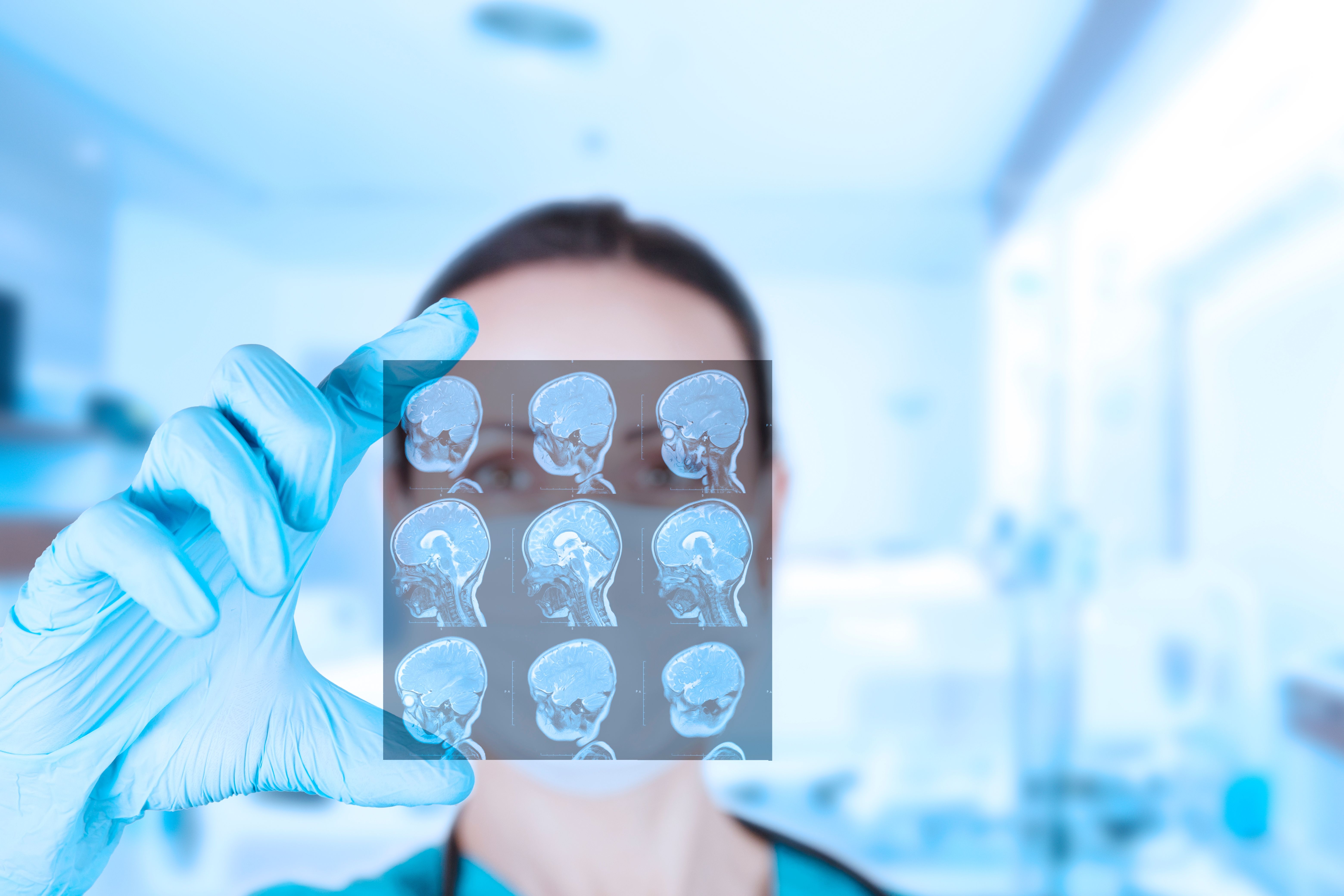 Copyright (c) 2022 Vadi Fuoco/Shutterstock