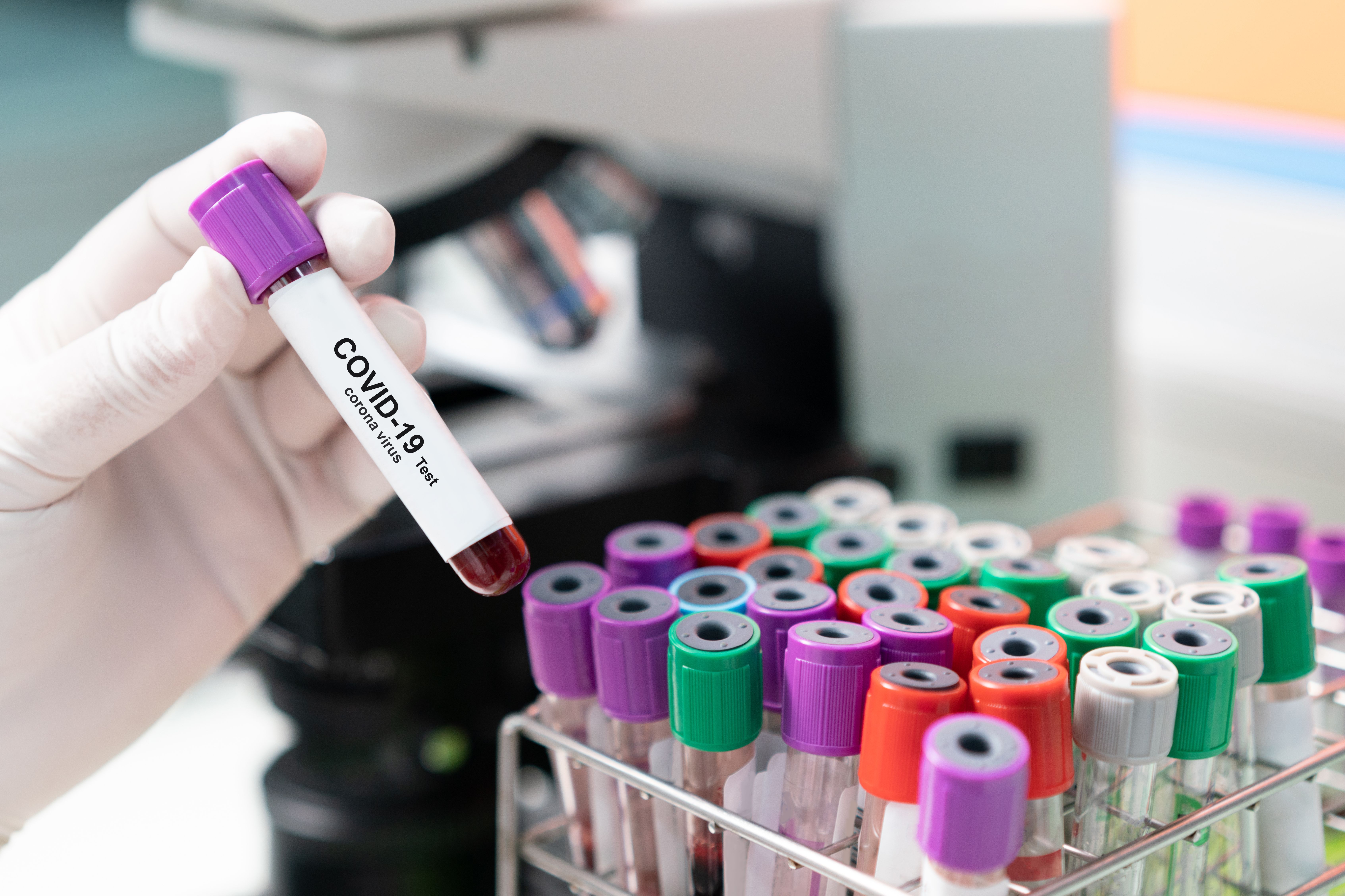 Copyright (c) 2020 CrispyPork/Shutterstock