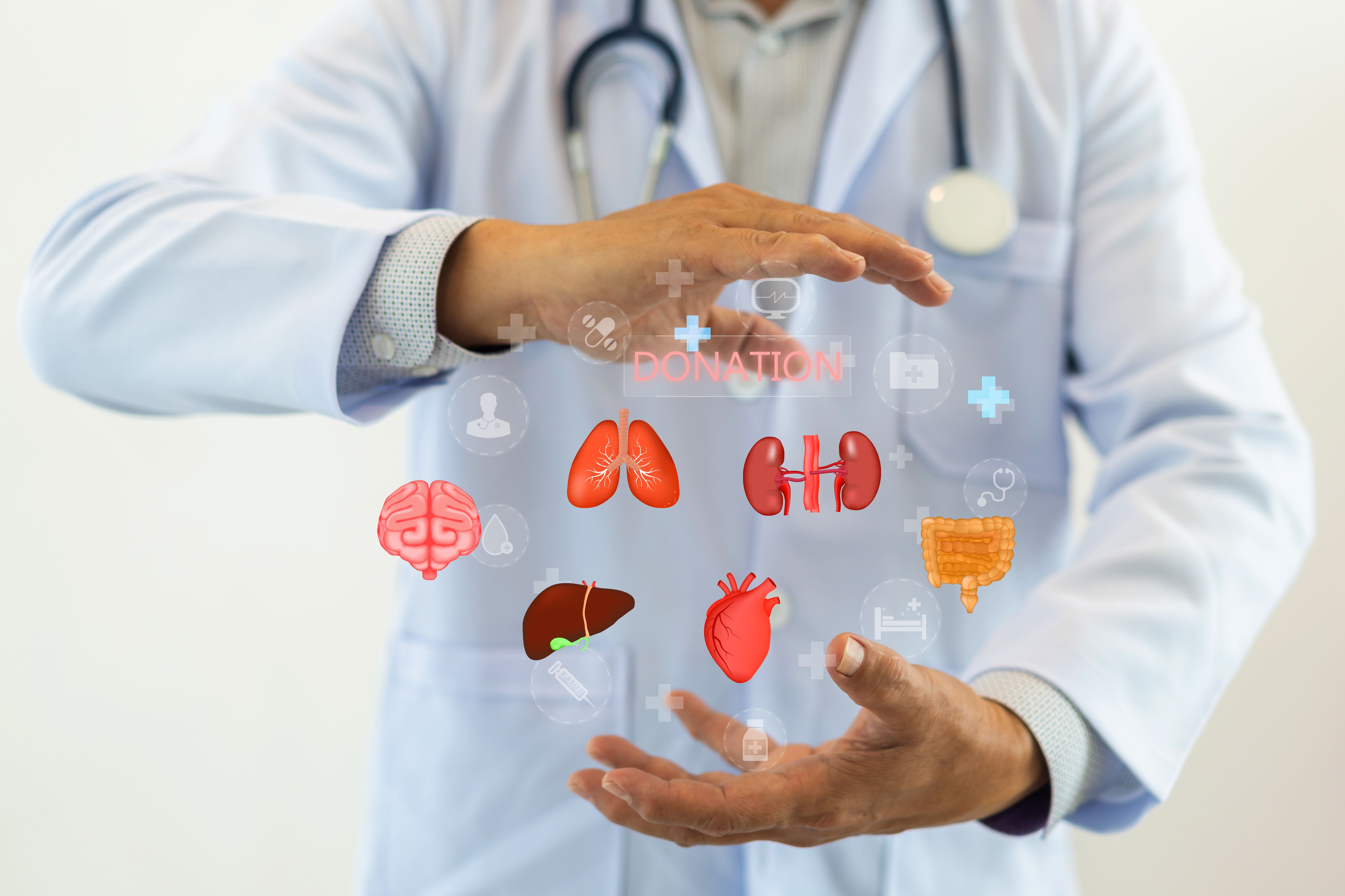 (c) 2024 JOURNEY STUDIO7/Shutterstock