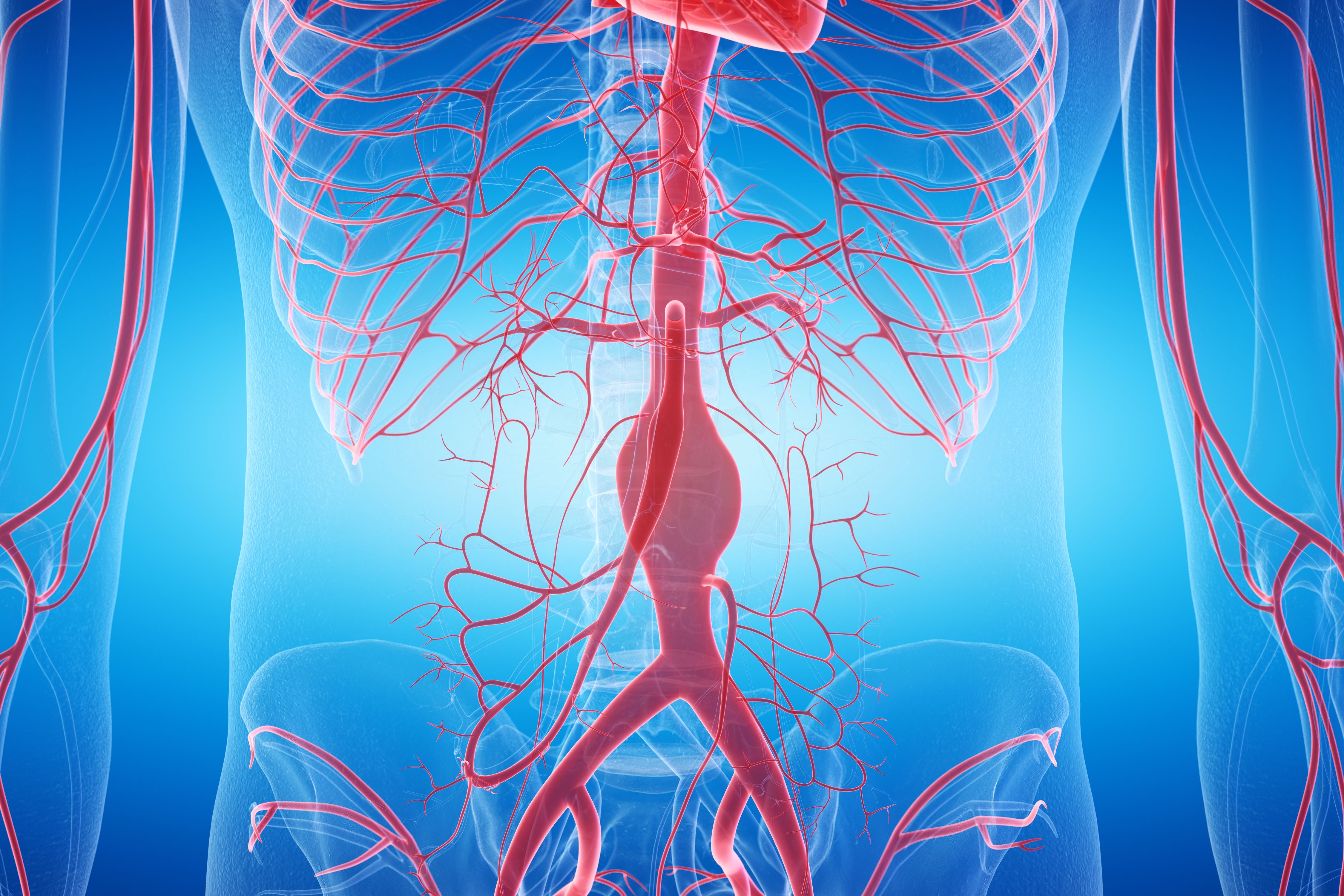 Copyright (c) 2019 SciePro/Shutterstock