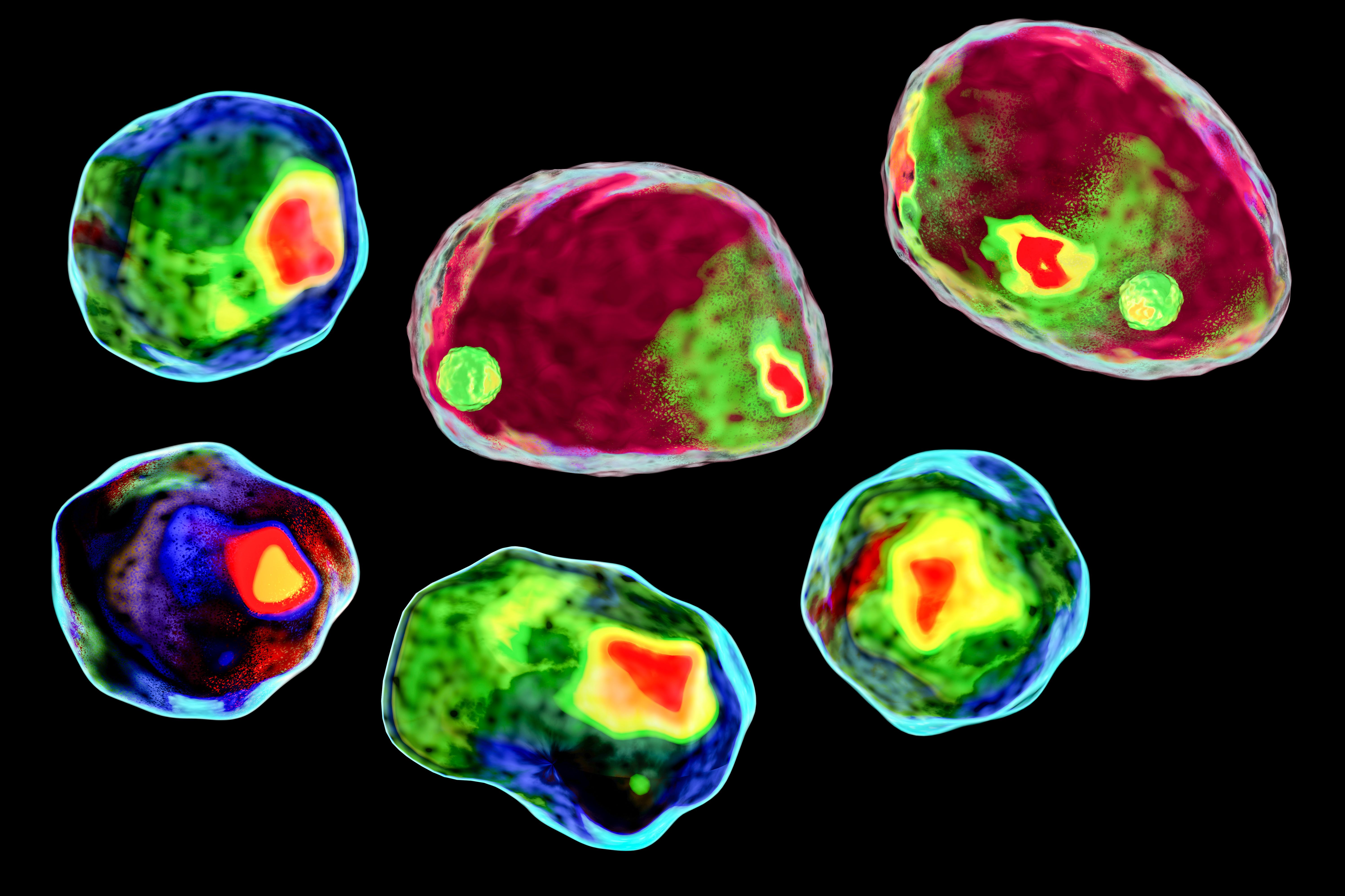 Copyright (c) 2019 Kateryna Kon/Shutterstock