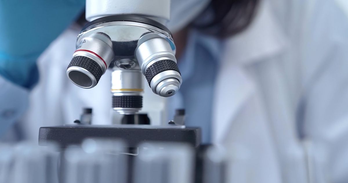 New insights into the interaction between mast cells and macrophages