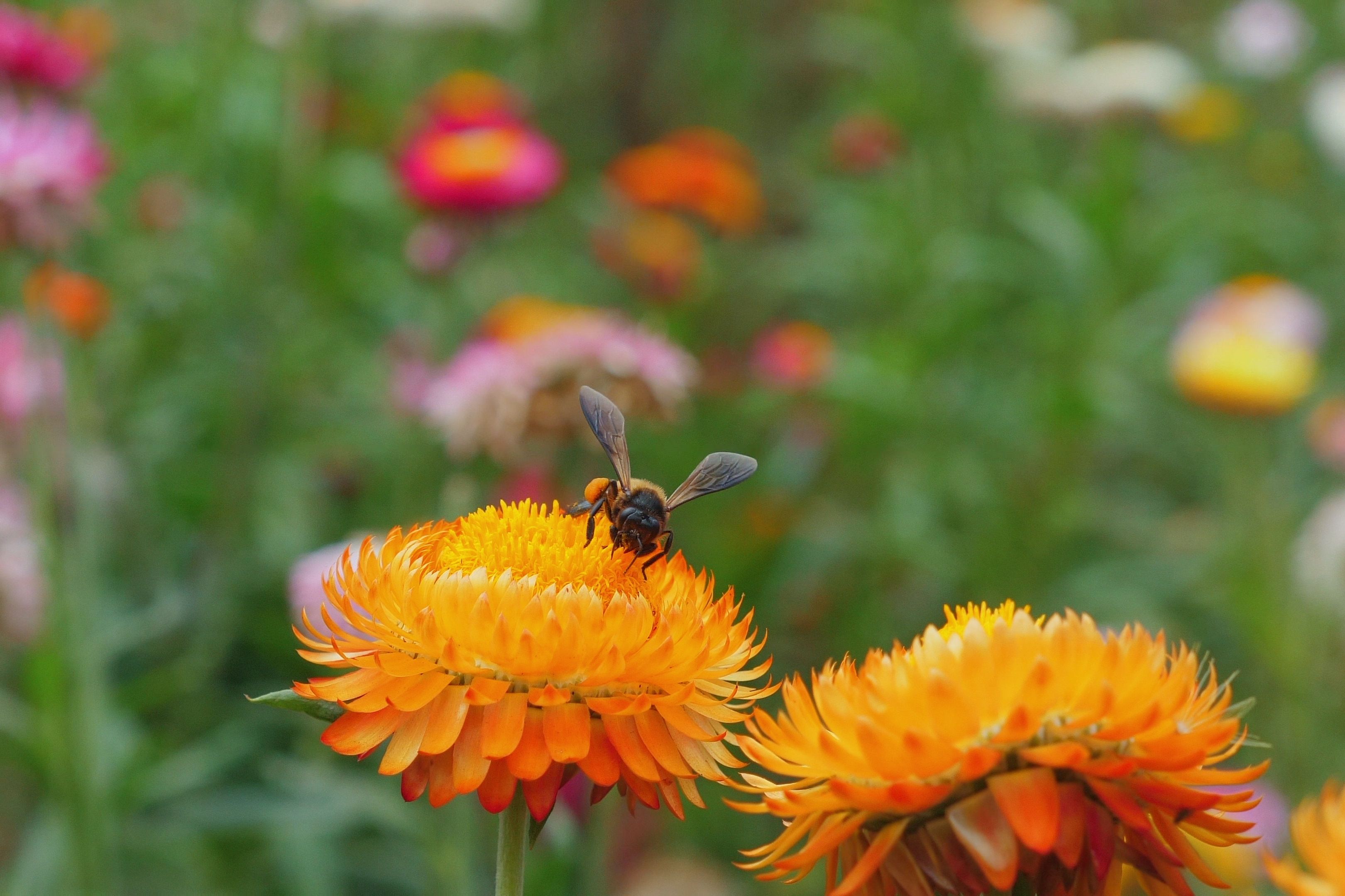 (c) 2024 Molishka/Shutterstock