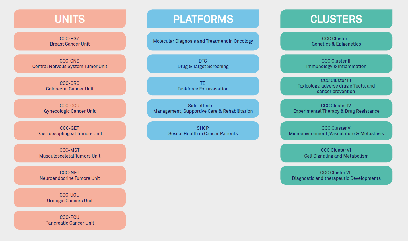 Organisation structure of the Comprehensive Cancer Center (CCC)