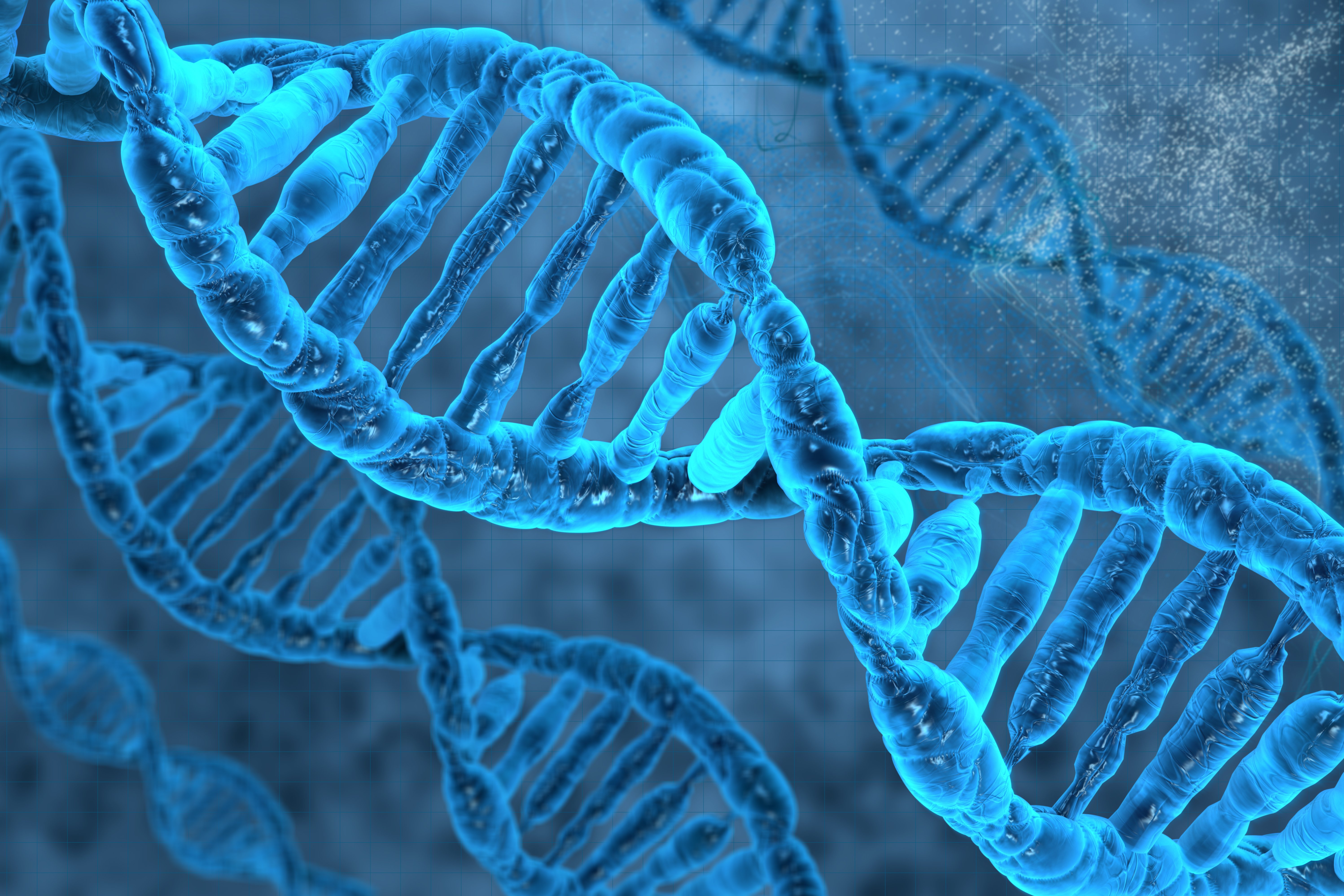 Copyright (c) 2013 vitstudio/Shutterstock Copyright (c) 2013 vitstudio/Shutterstock
