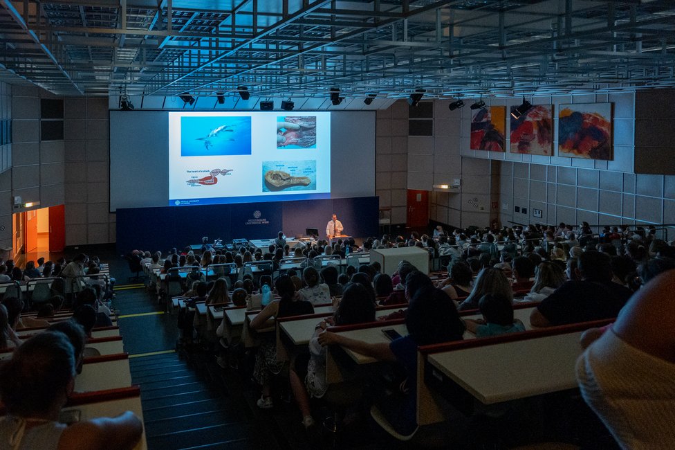 © MedUni Wien/Wache © MedUni Wien/Wache