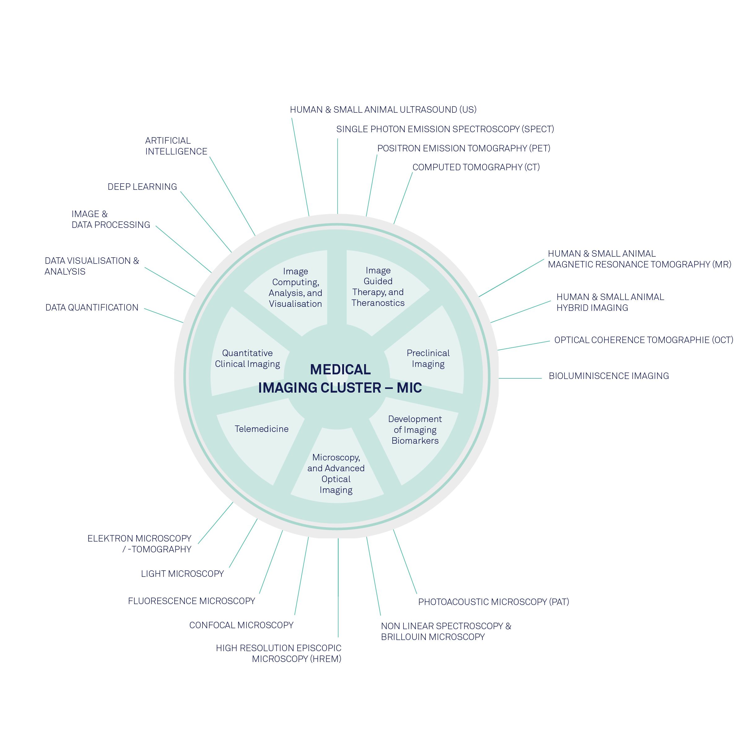 Medical Imaging Research Cluster
