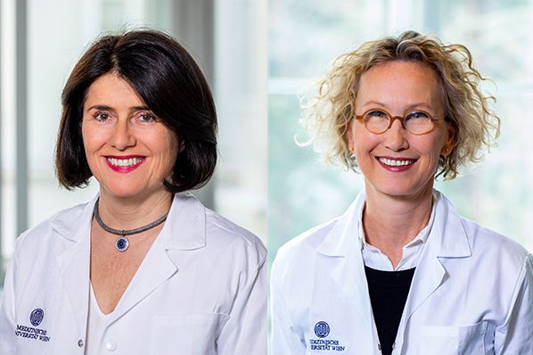 Bilder: MedUni Wien/Matern Bilder: MedUni Wien/Matern