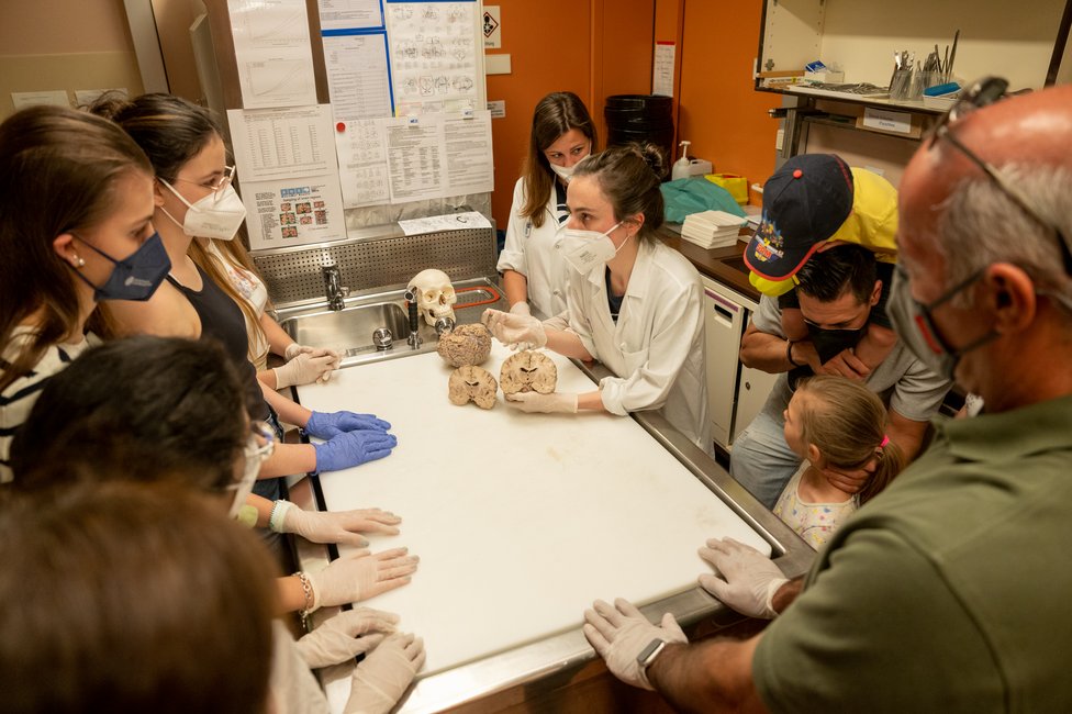 © MedUni Wien/Wache © MedUni Wien/Wache