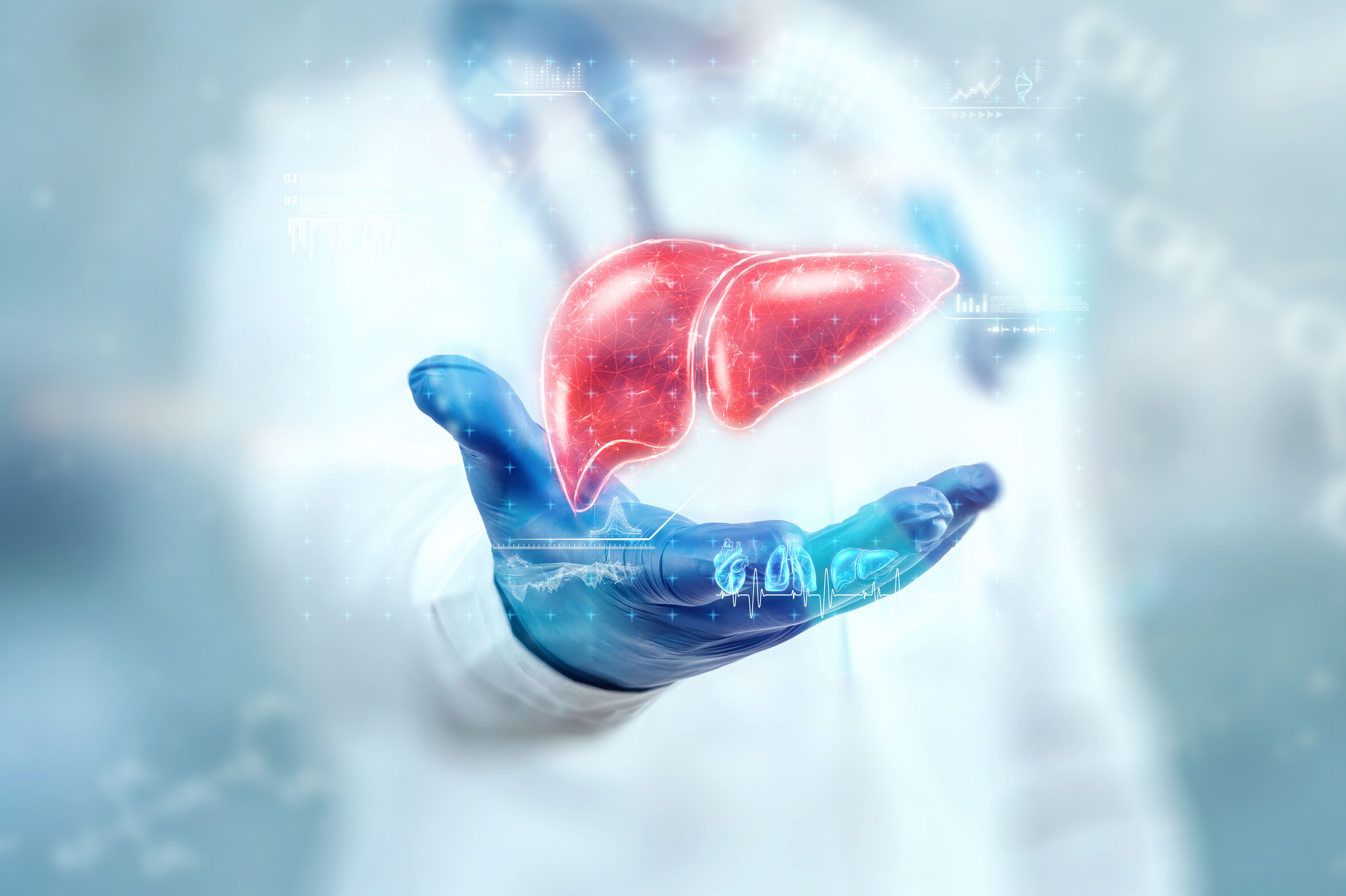 Copyright (c) 2021 Marko Aliaksandr/Shutterstock