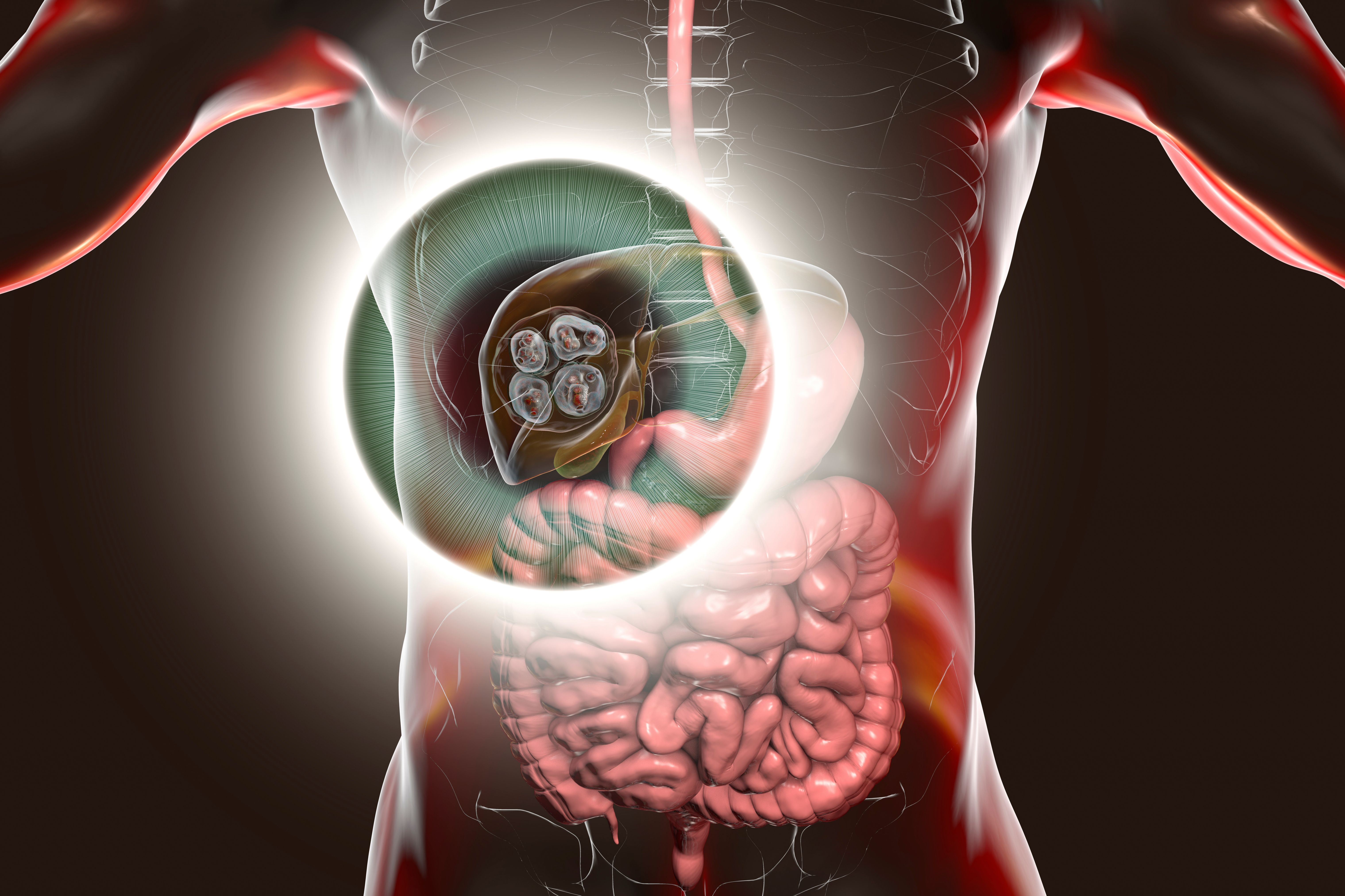 (c) 2020 Kateryna Kon/Shutterstock