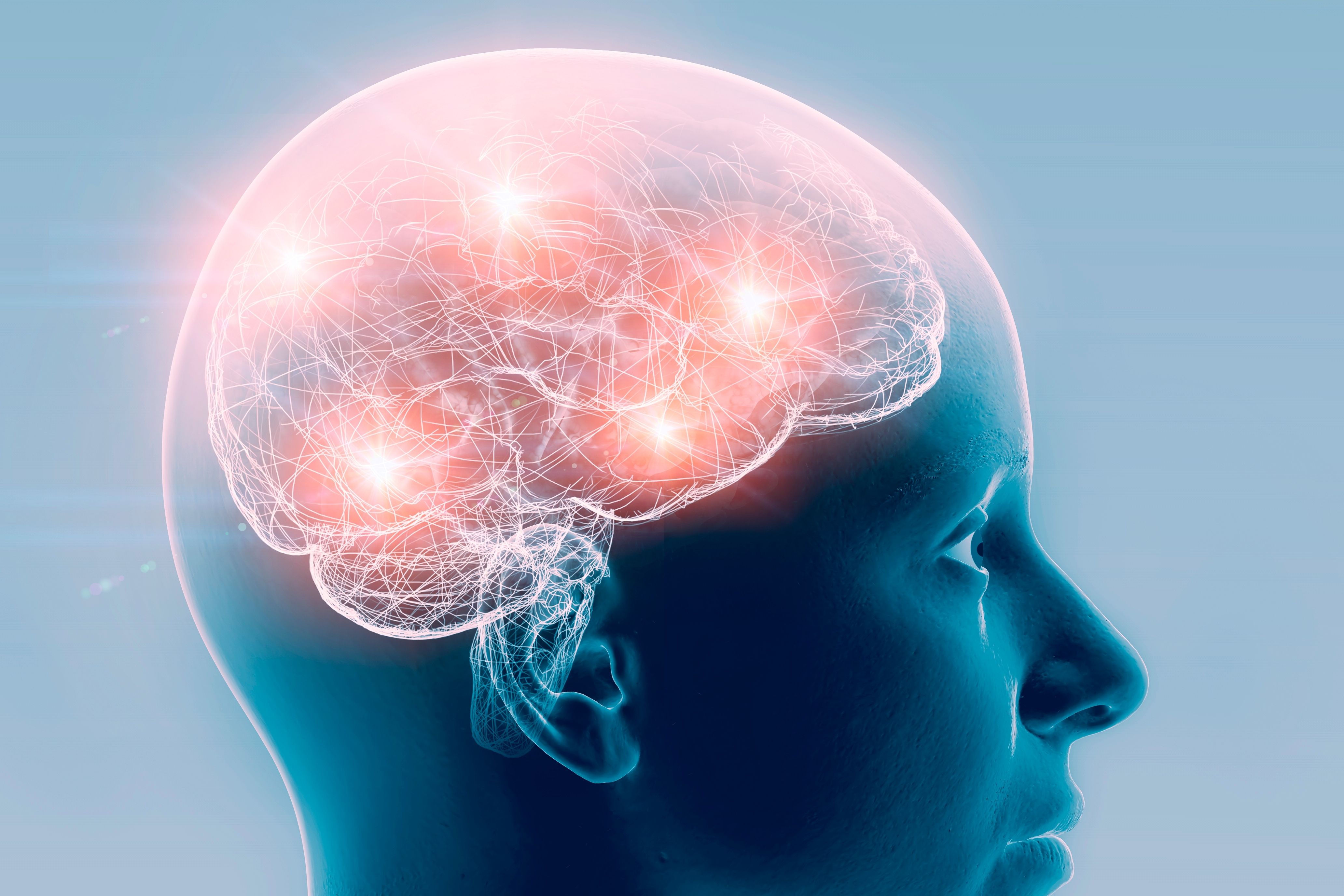 (c) 2022 Naeblys/Shutterstock