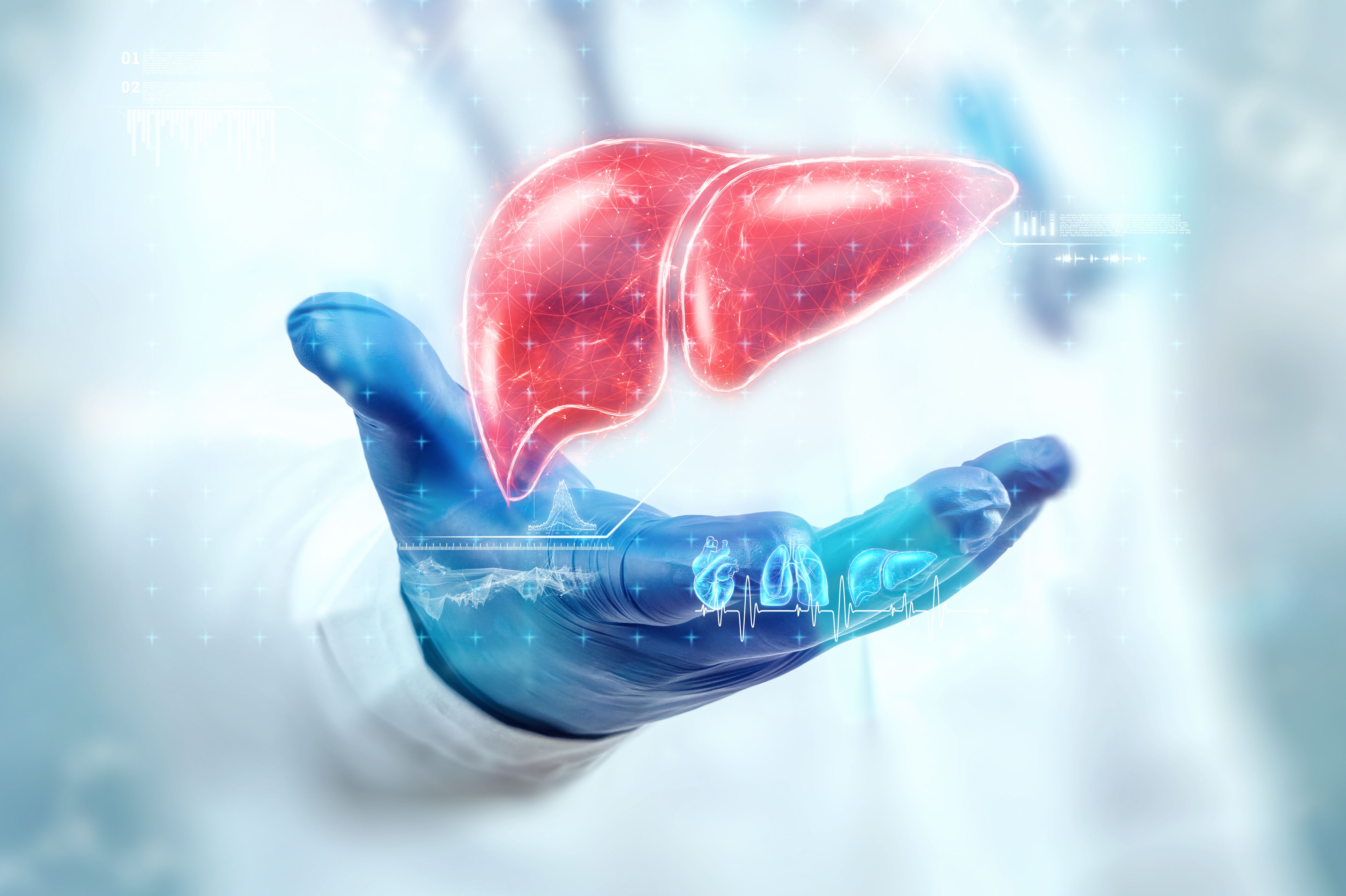 Copyright (c) 2021 Marko Aliaksandr/Shutterstock