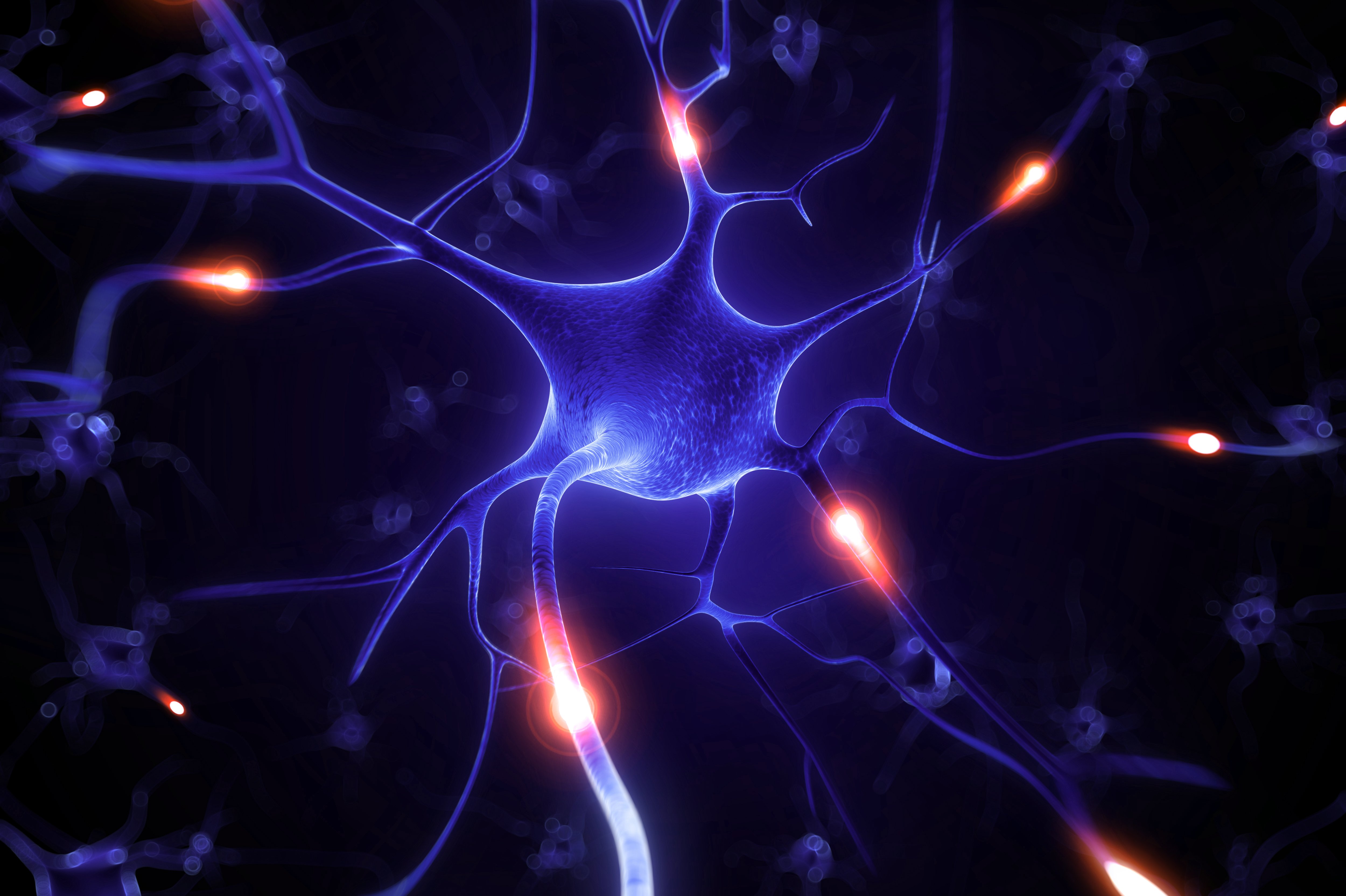 Copyright (c) 2013 SciePro/Shutterstock Copyright (c) 2013 SciePro/Shutterstock