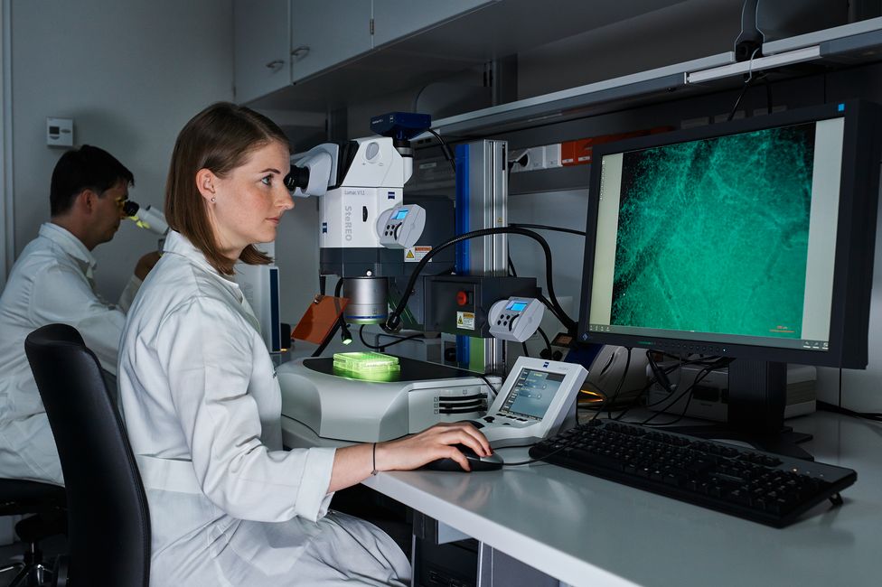 Medizinische Forschung | Mikroskopie | © MedUni Wien, Mark Glassner