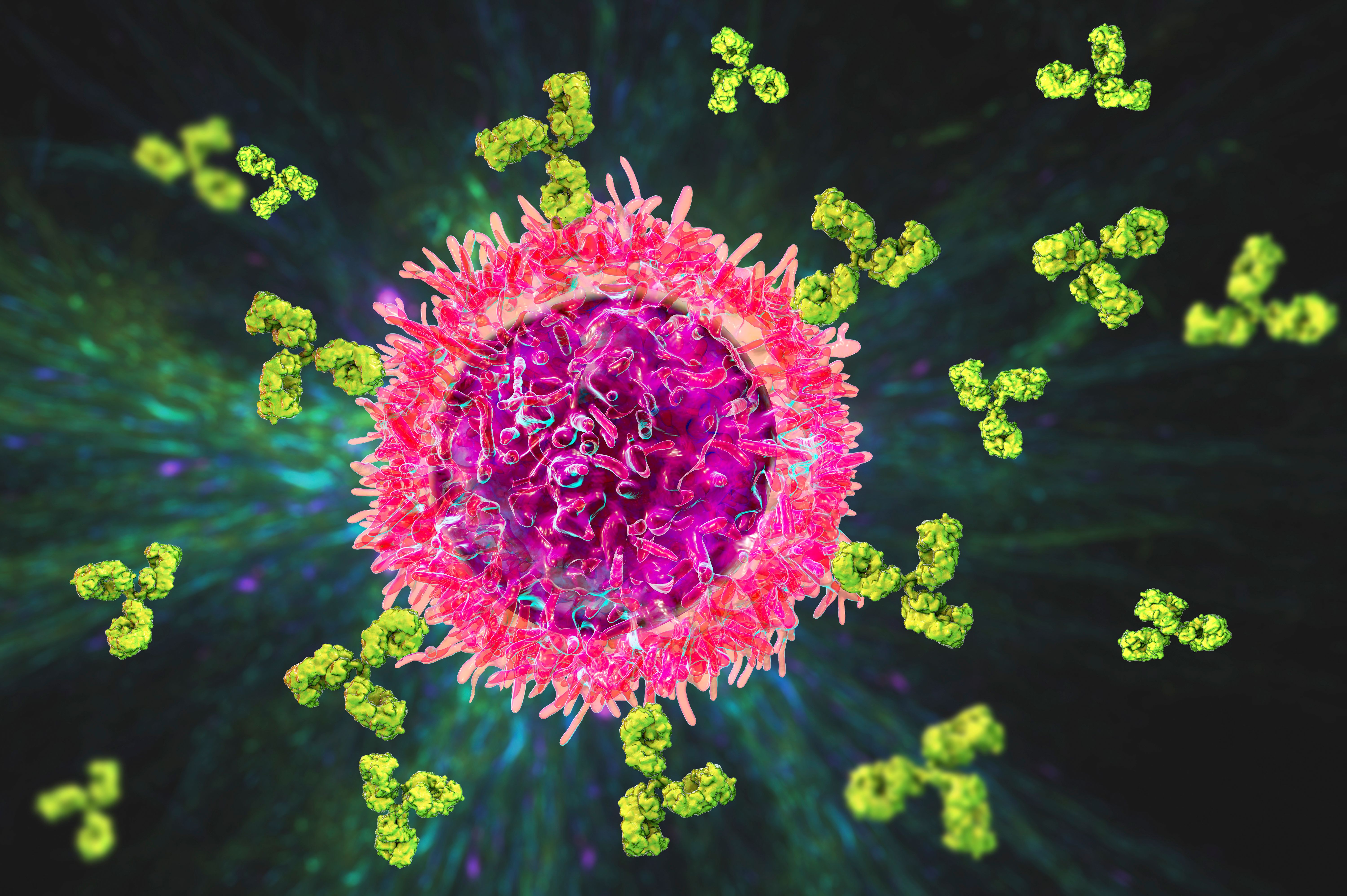 Copyright (c) 2020 Kateryna Kon/Shutterstock