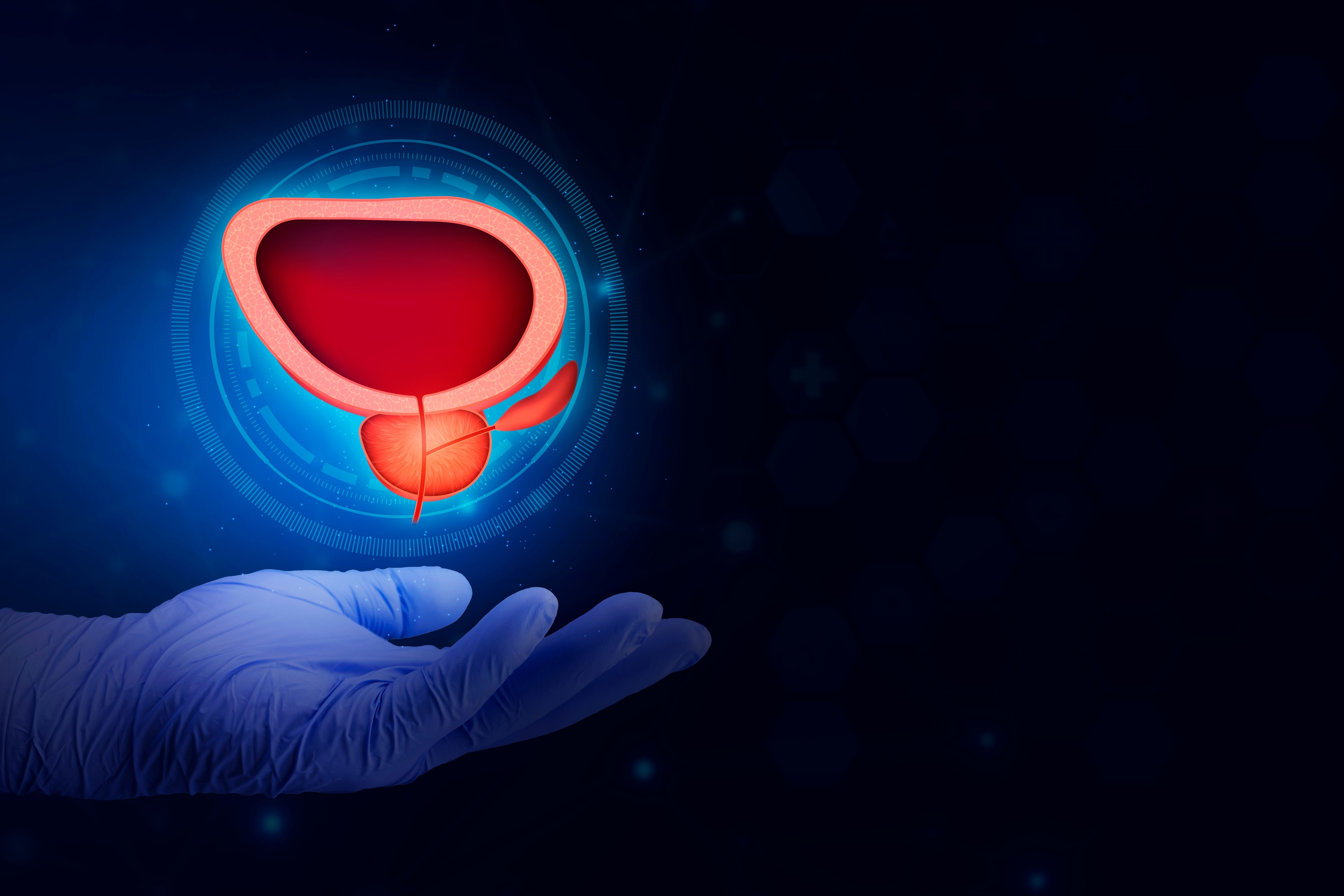 (c) 2024 Antonio Marca/Shutterstock  