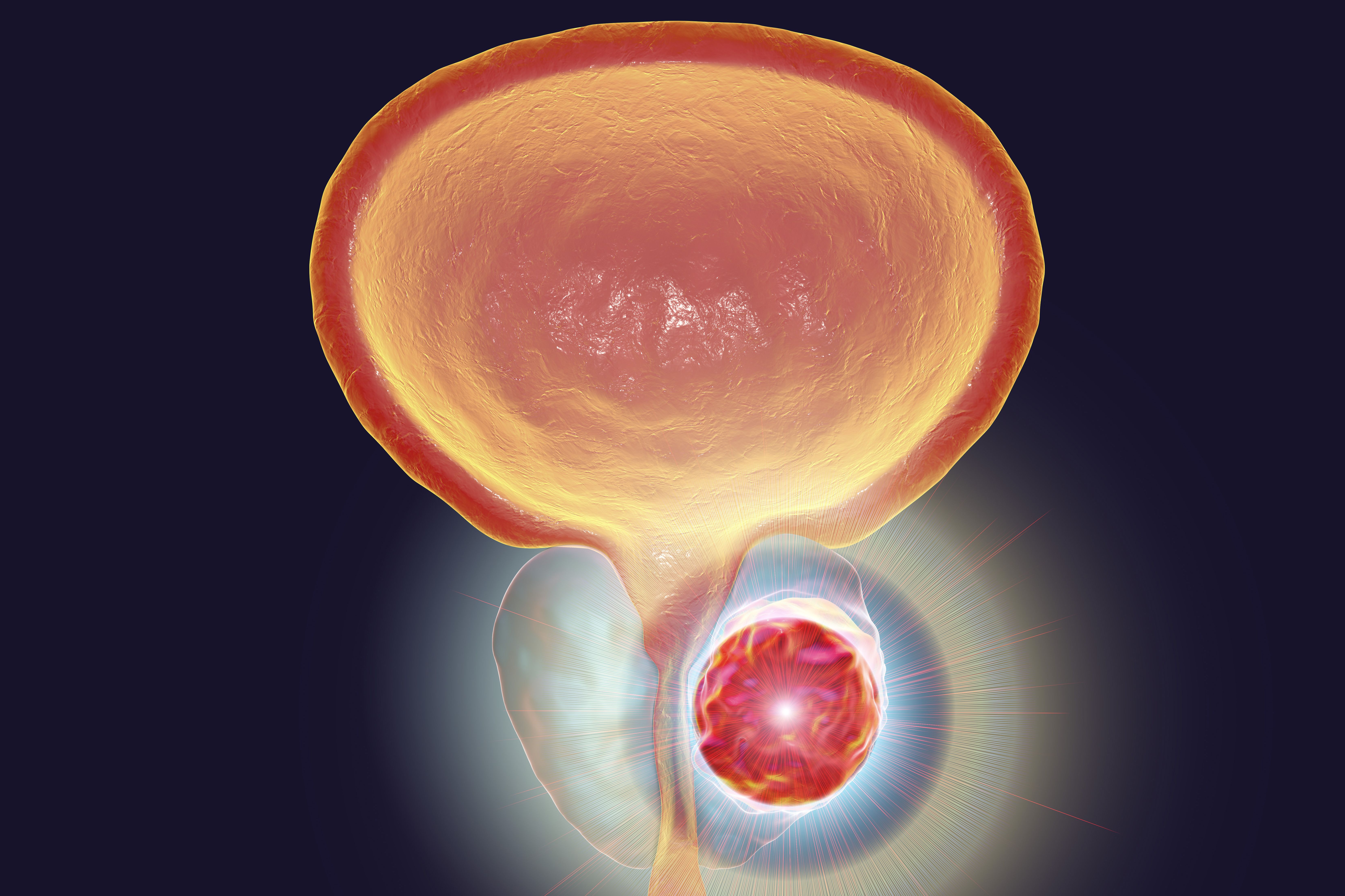 (c) 2017 Kateryna Kon/Shutterstock