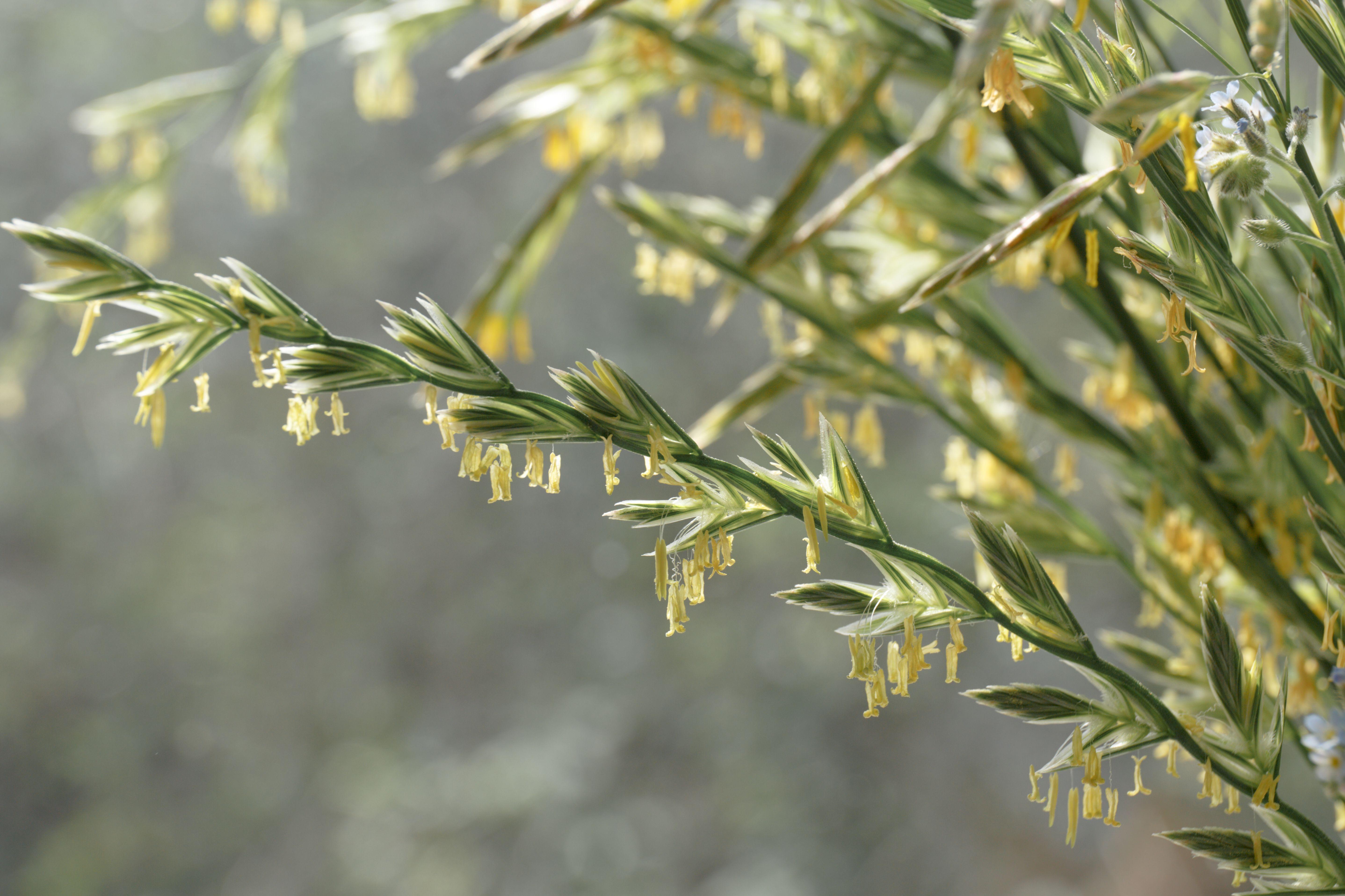 (c) 2020 Irina Boldina/Shutterstock