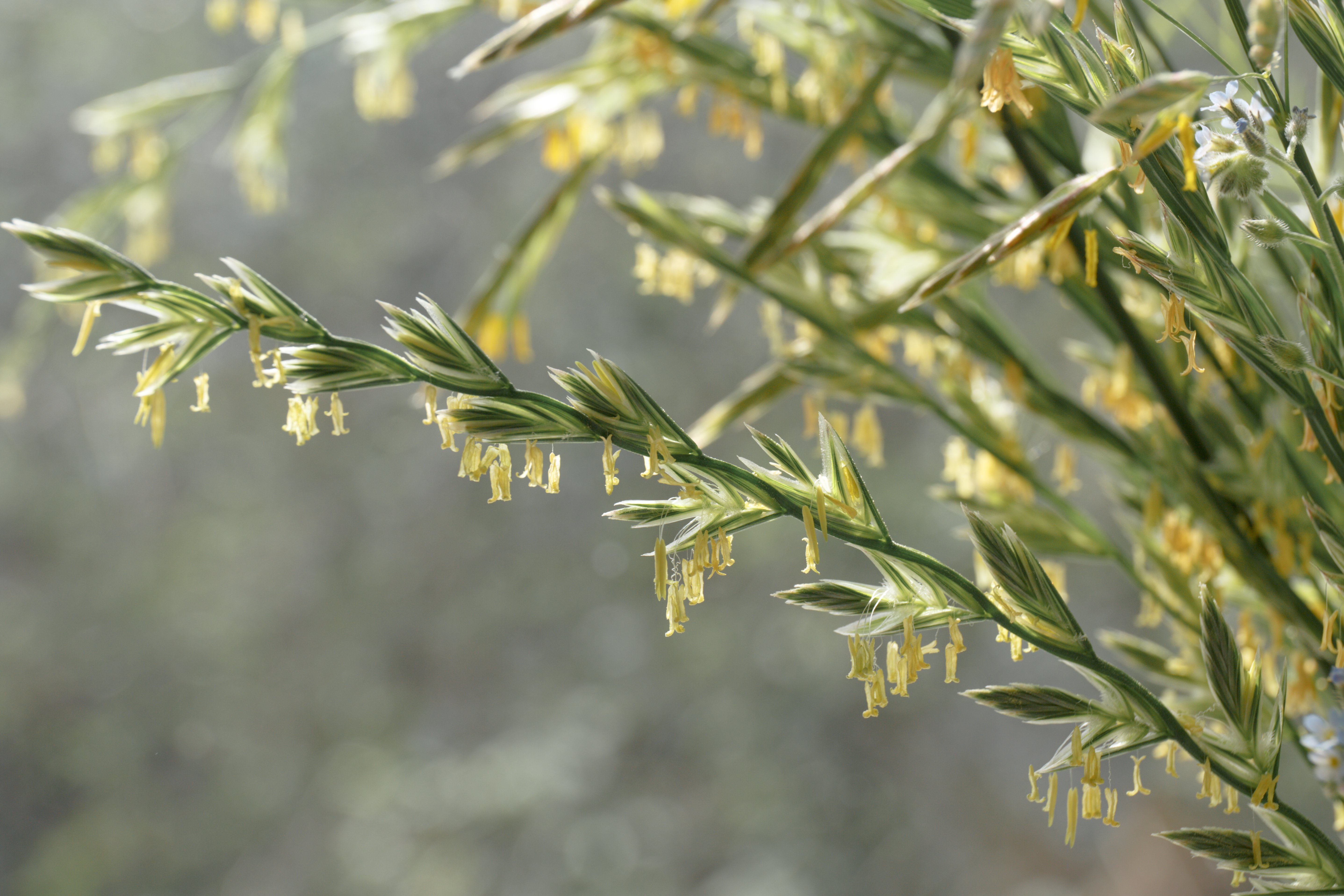(c) 2020 Irina Boldina/Shutterstock (c) 2020 Irina Boldina/Shutterstock