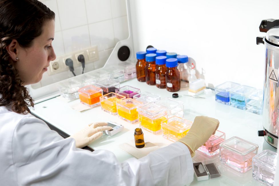 Medizinische Forschung | Labor | © MedUni Wien, Christian Houdek