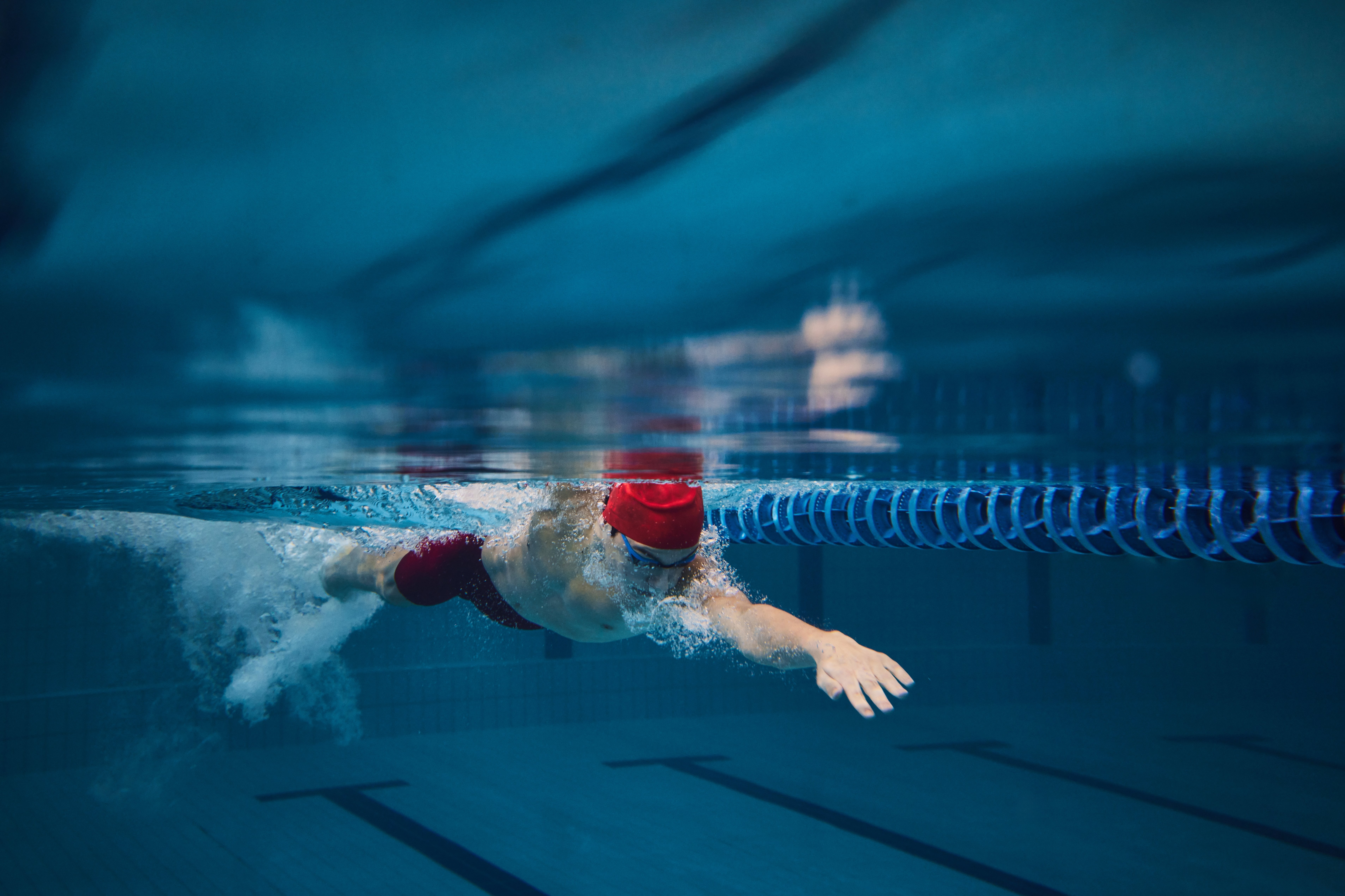 (c) 2024 Master1305/Shutterstock