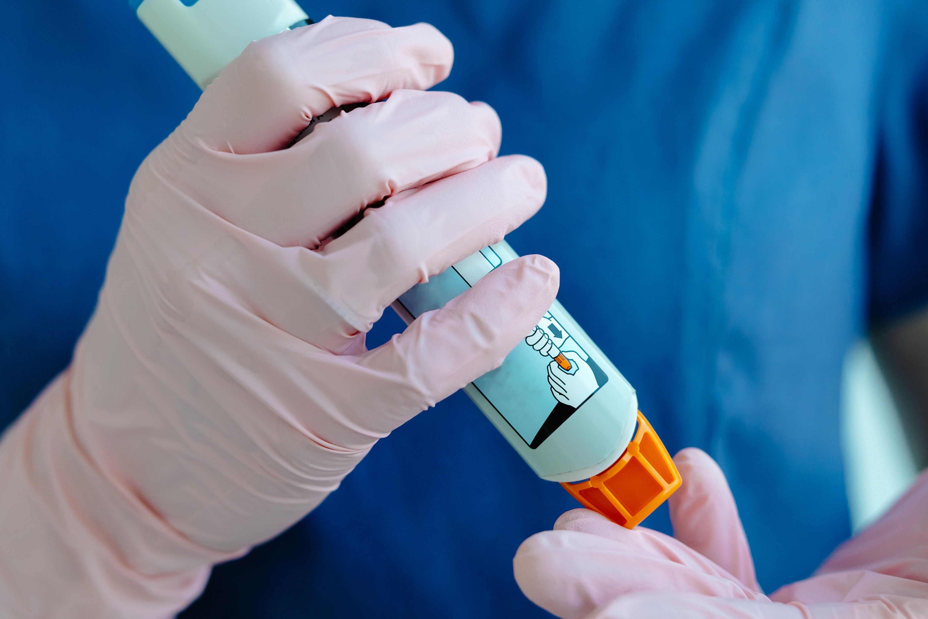 (c) 2024 Karkhut/Shutterstock