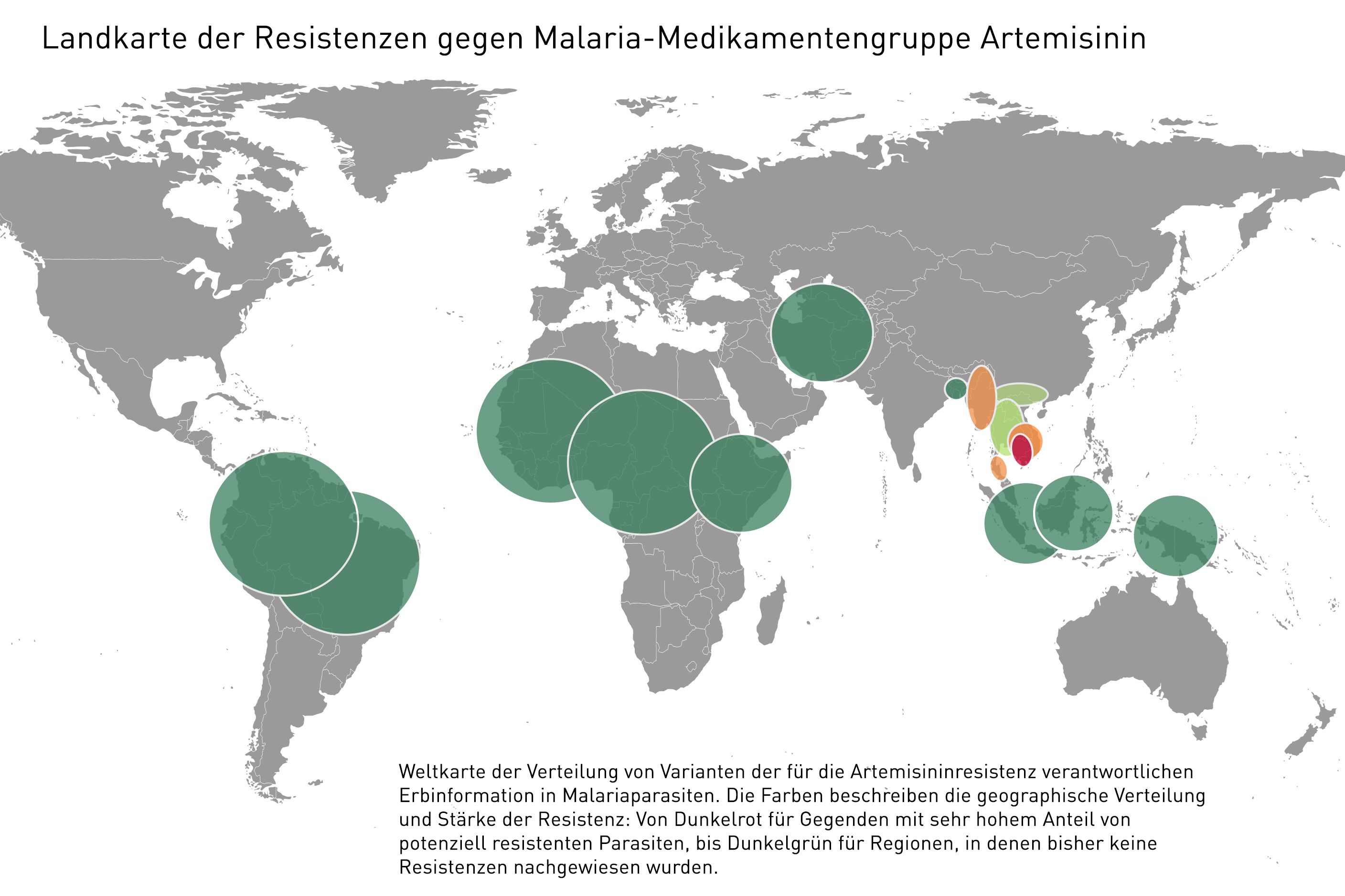 Landkarte der Resistenzen gegen Malaria-Medikament Artemisinin