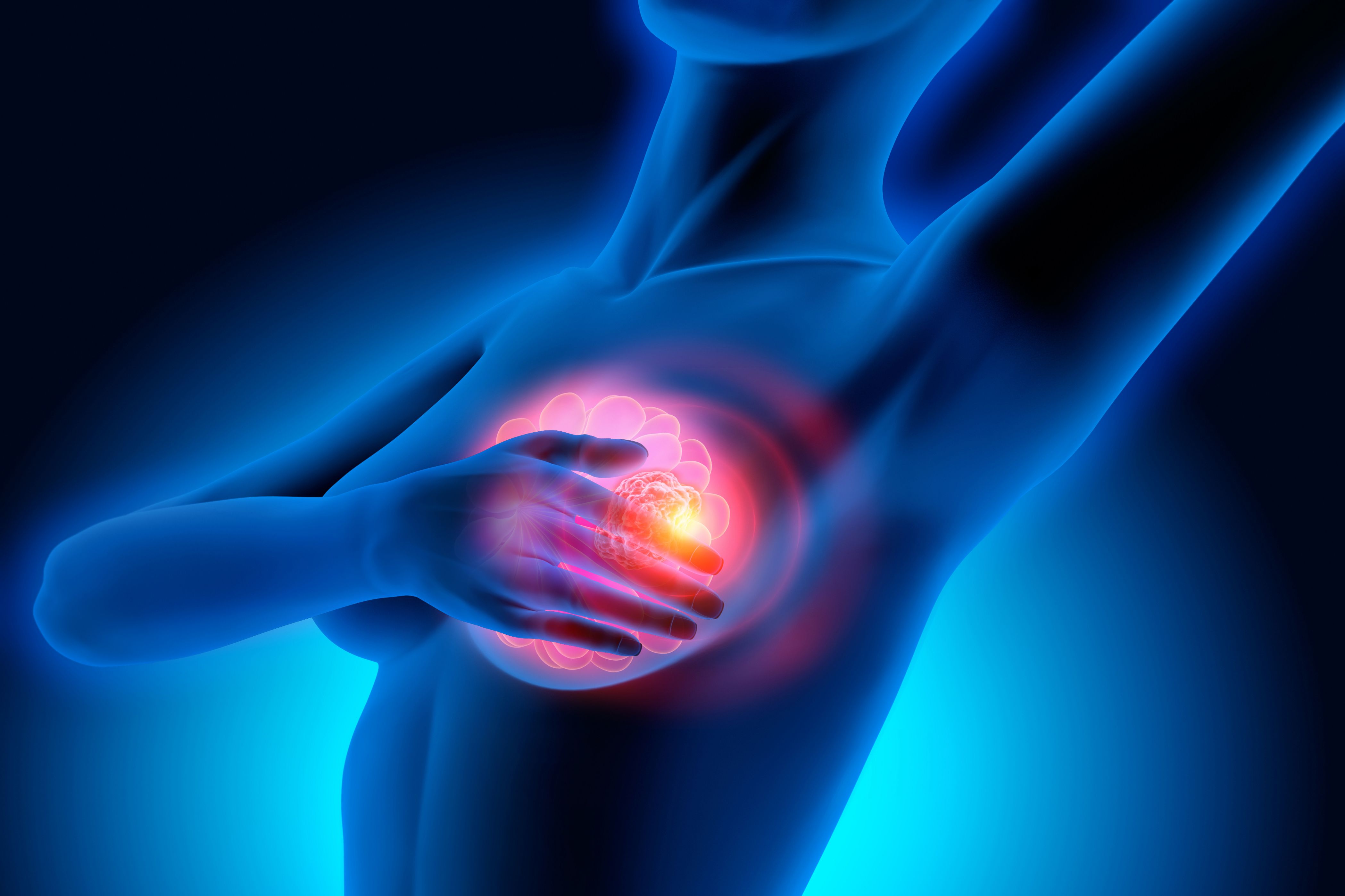 (c) 2019 peterschreiber.media/Shutterstock