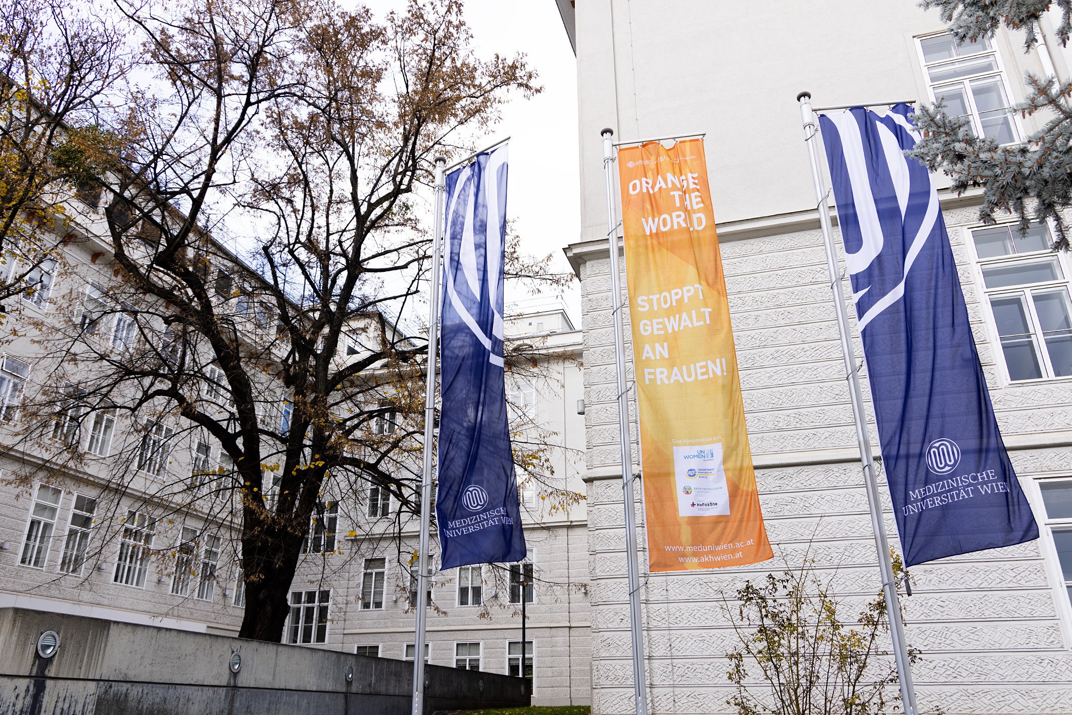 (c) MedUni Wien/feelimage (c) MedUni Wien/feelimage
