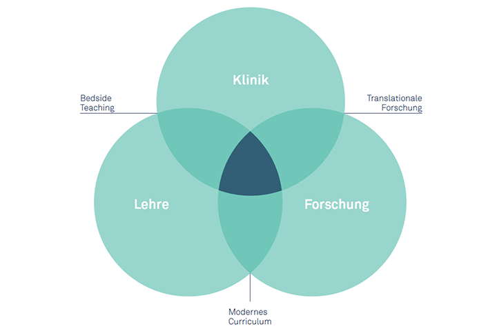 Der Triple Track aus Forschung, Lehre und Klinik der MedUni Wien