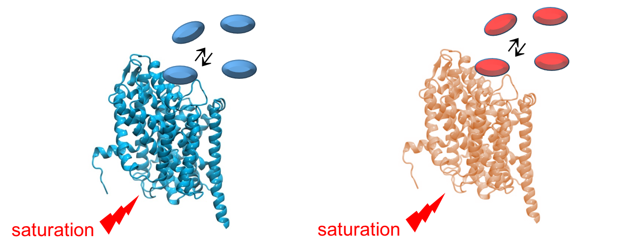 Schematic drawing ligand binding