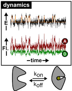Schematic recordings of binding events by single molecule approaches