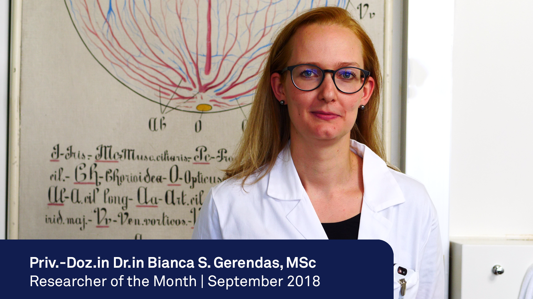 Bianca S. Gerendas | Researcher of the Month, September 2018