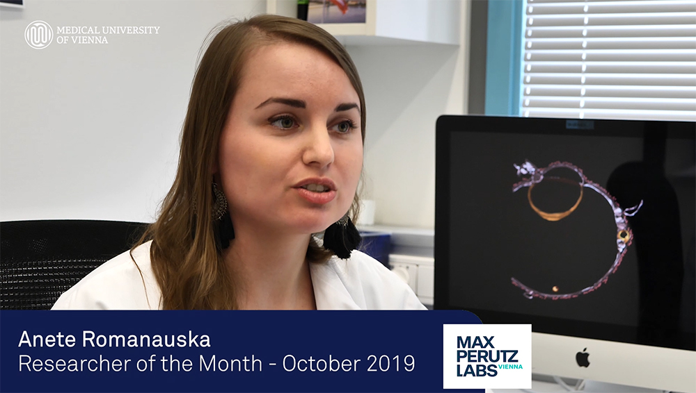 Researcher of the Month | October 2019: Anete Romanauska